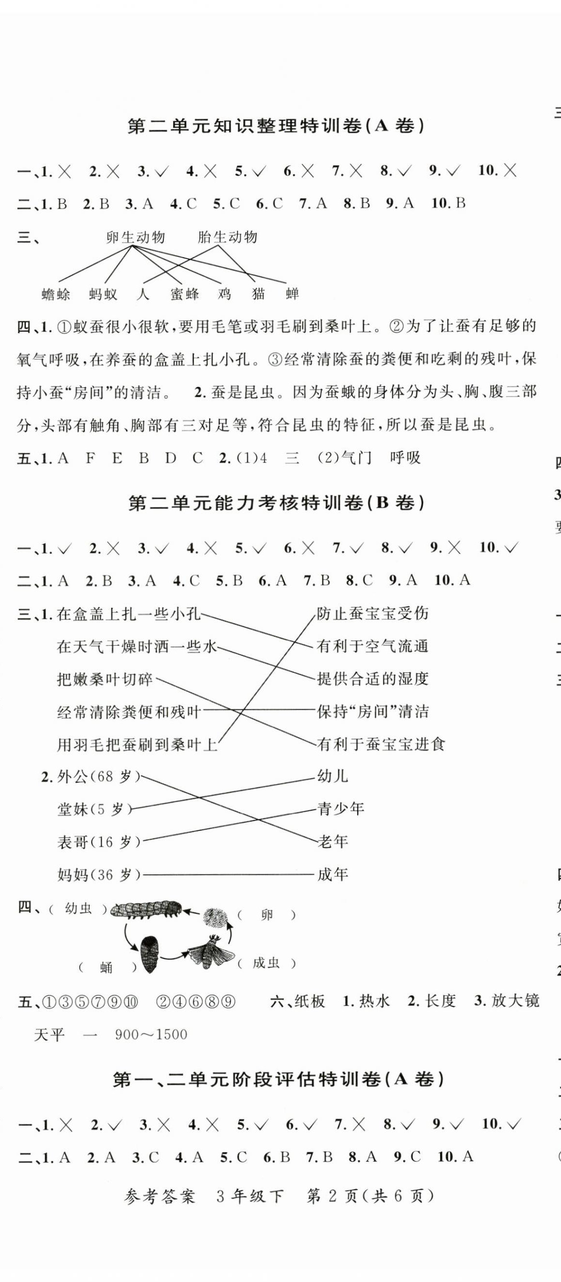 2025年特训卷三年级科学下册教科版 第2页