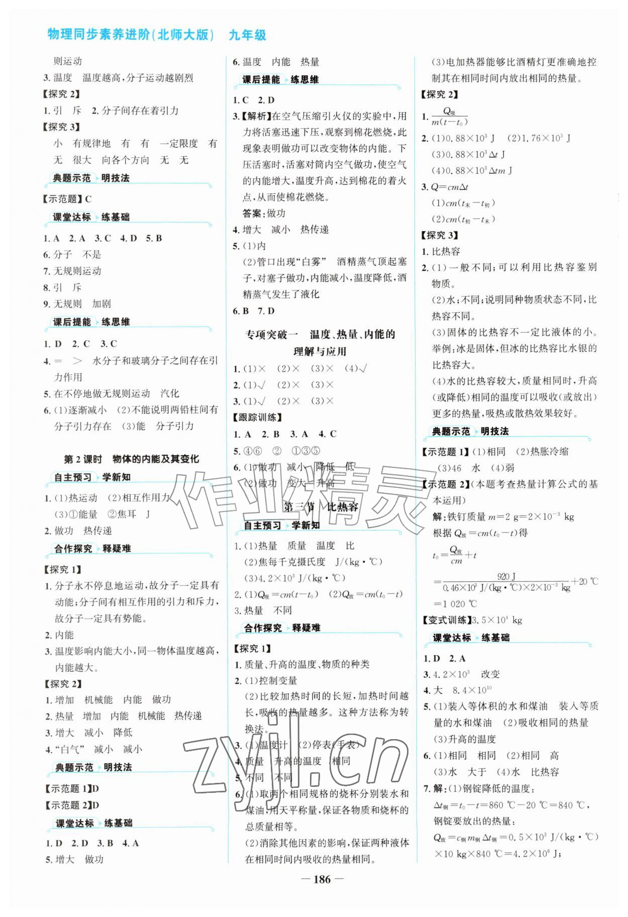 2026年同步素养进阶九年级物理上册北师大版&nbsp;第2页