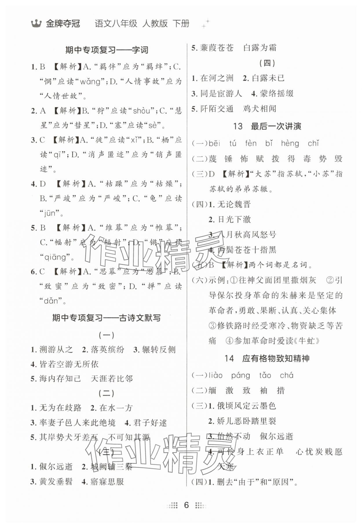2025年點(diǎn)石成金金牌奪冠八年級語文下冊人教版遼寧專版 參考答案第6頁
