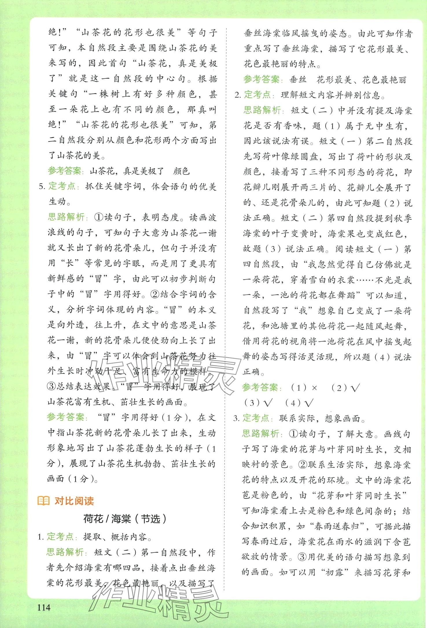 2024年閱讀理解與答題模板三年級語文下冊人教版 第3頁