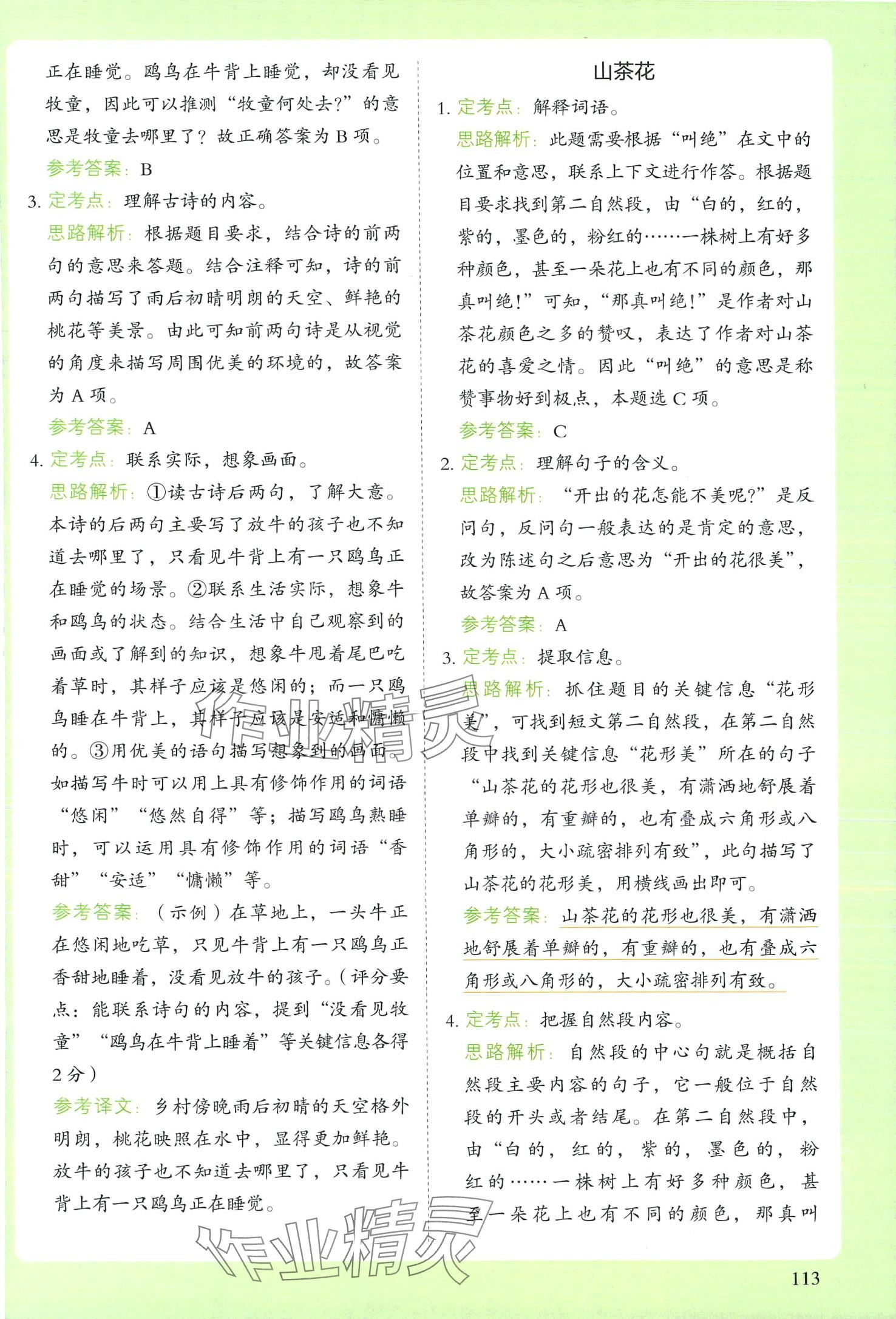 2024年閱讀理解與答題模板三年級語文下冊人教版 第2頁