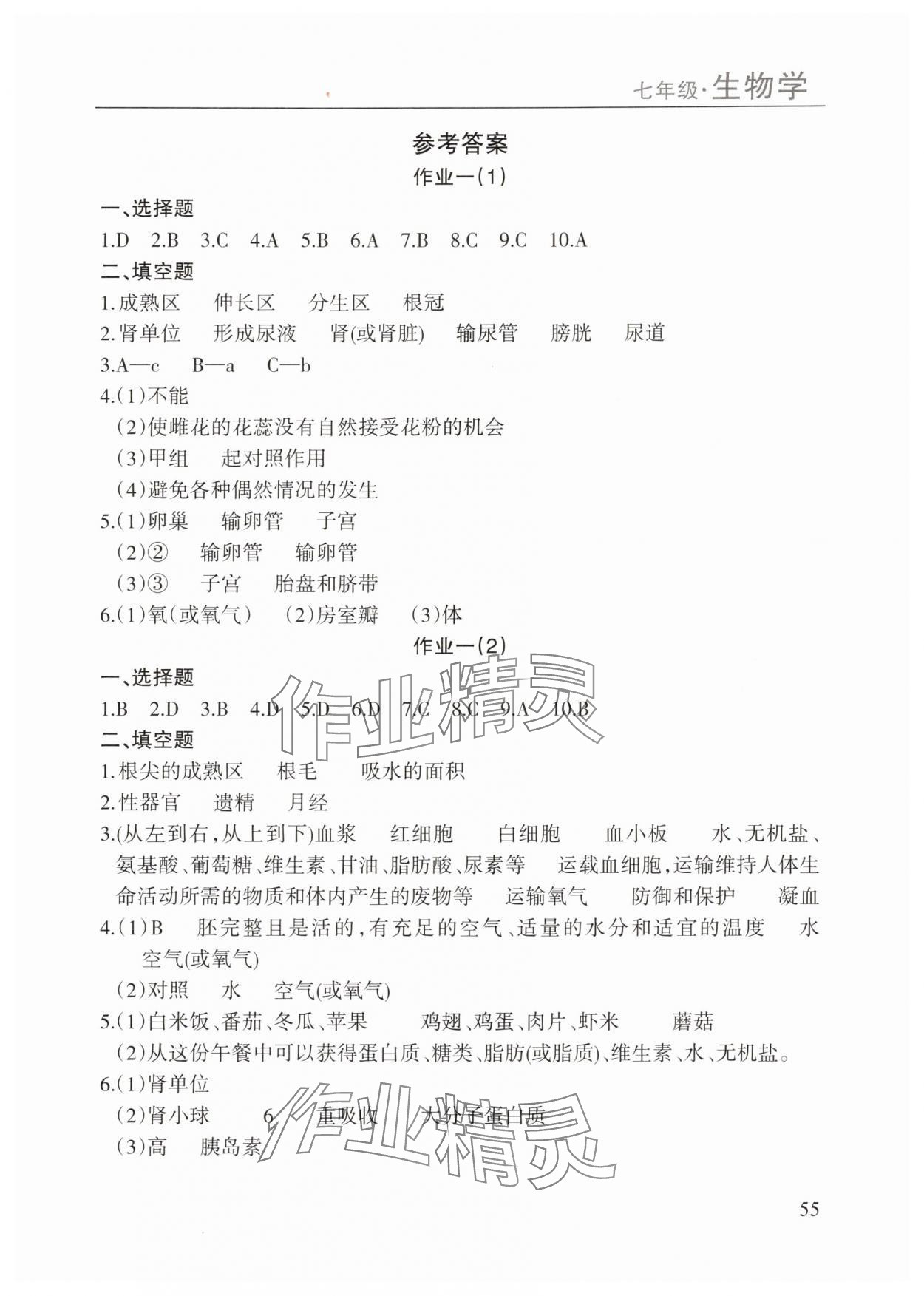 2025年暑假课程练习南方出版社七年级生物 第1页