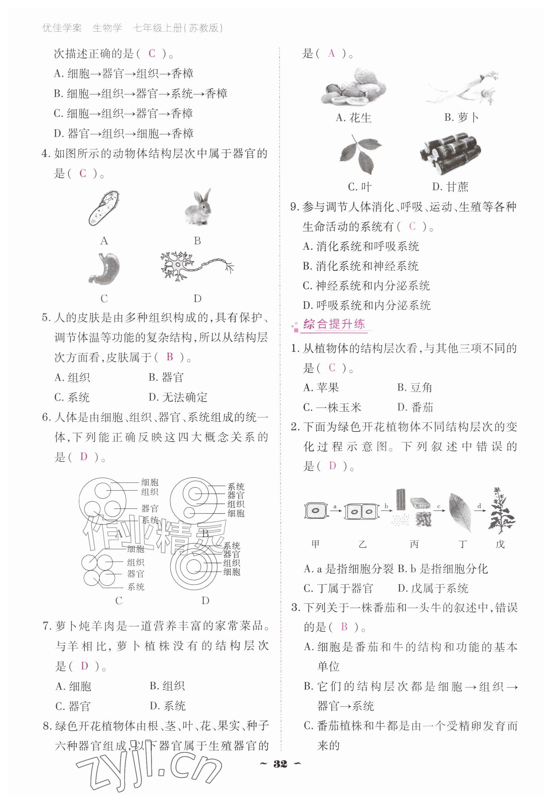 2026年云南省标准教辅优佳学案七年级历史上册人教版&nbsp;参考答案第32页