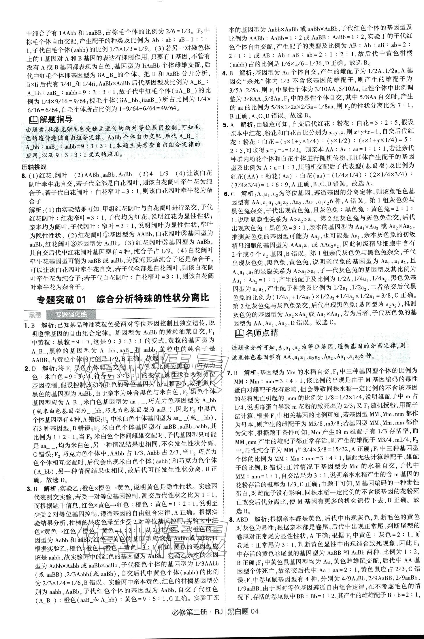 2024年經(jīng)綸學(xué)典黑白題高中生物必修第二冊(cè)人教版 第4頁