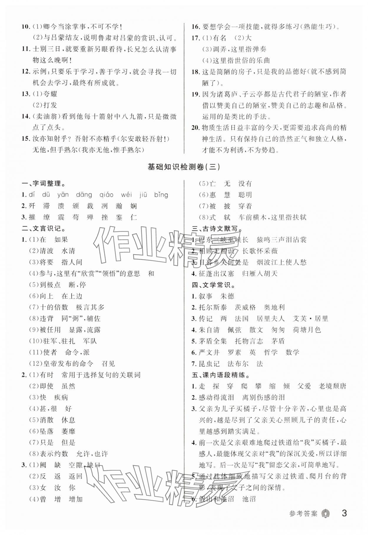 2024年指点中考语文 第3页