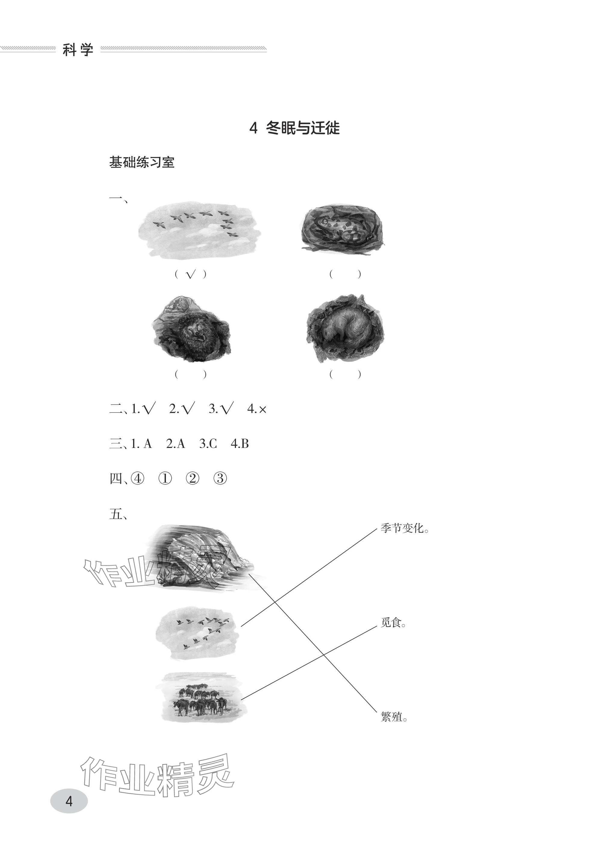 2024年同步練習(xí)冊青島出版社三年級(jí)科學(xué)上冊青島版 參考答案第4頁