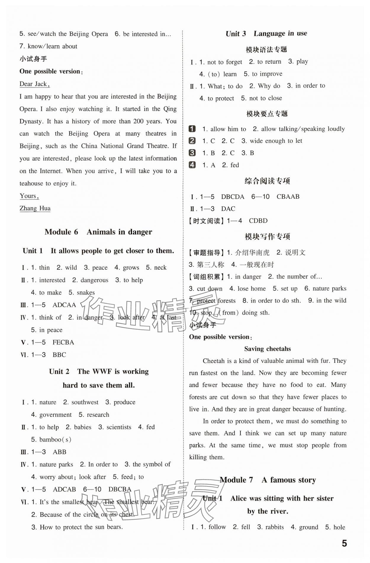 2024年一本同步訓(xùn)練八年級(jí)初中英語(yǔ)上冊(cè)外研版 第5頁(yè)