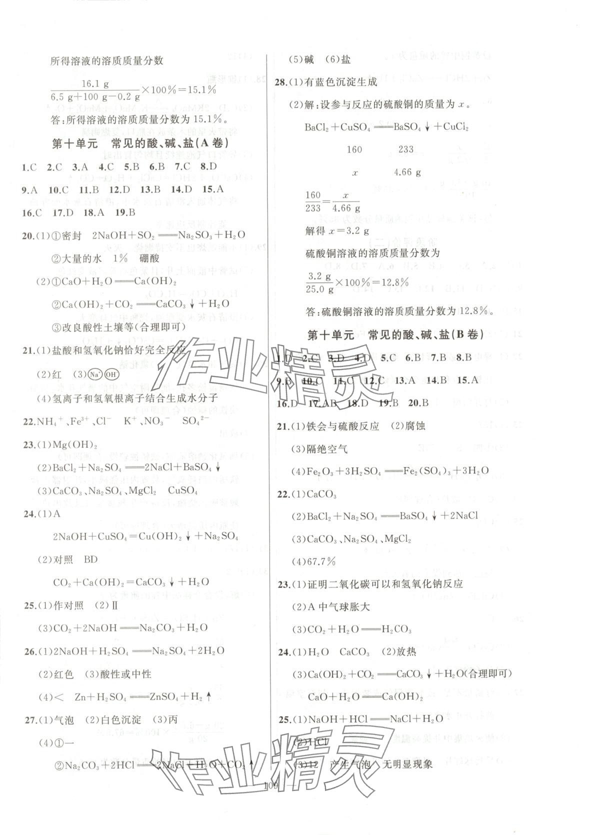 2025年誠成教育學業評價九年級化學下冊人教版 第3頁