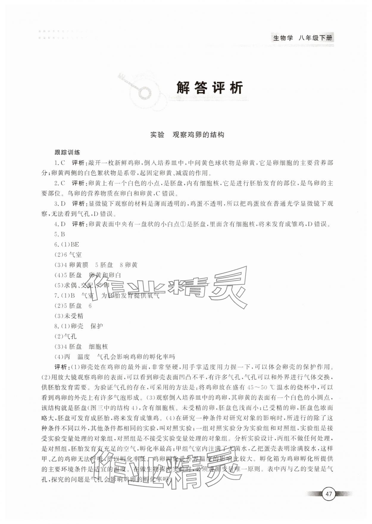 2025年實驗探究報告冊山東文藝出版社八年級生物人教版 第1頁