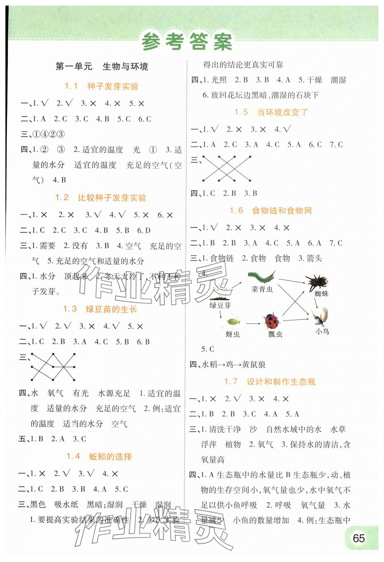 2024年黃岡同步練一日一練五年級科學下冊教科版 參考答案第1頁