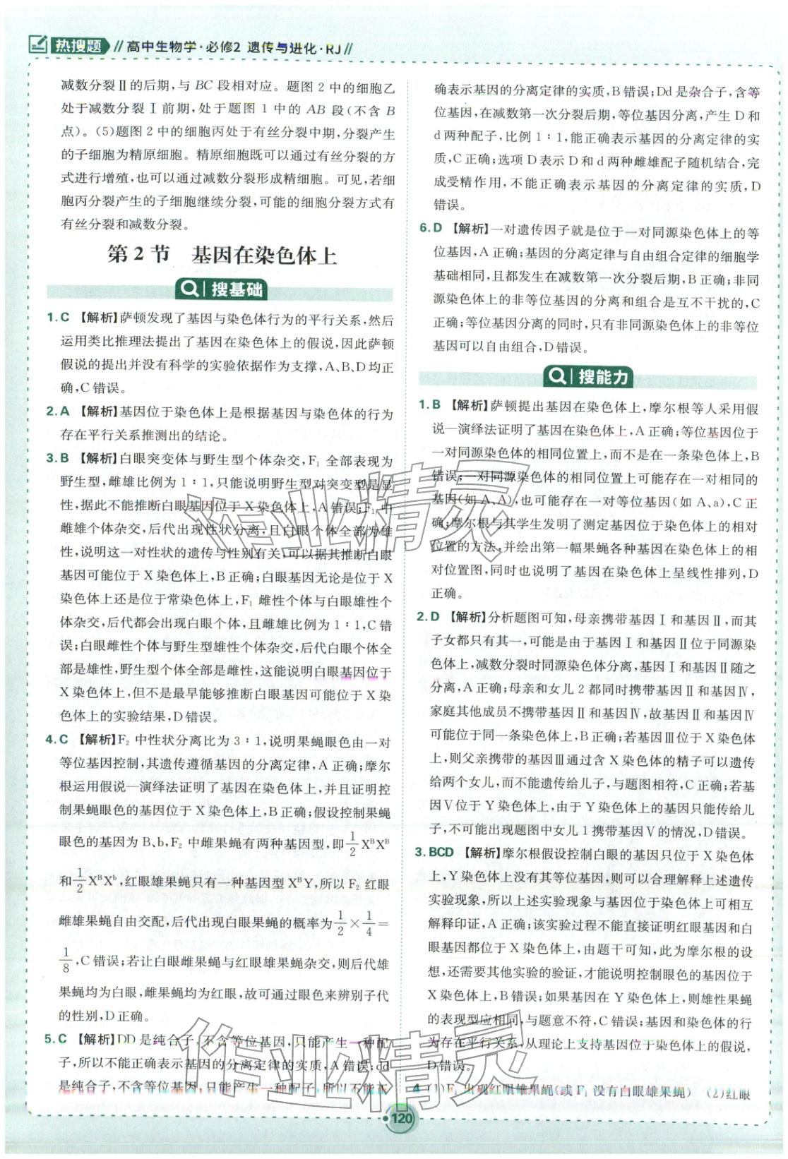 2026年热搜题高中生物必修第二册人教版 第14页