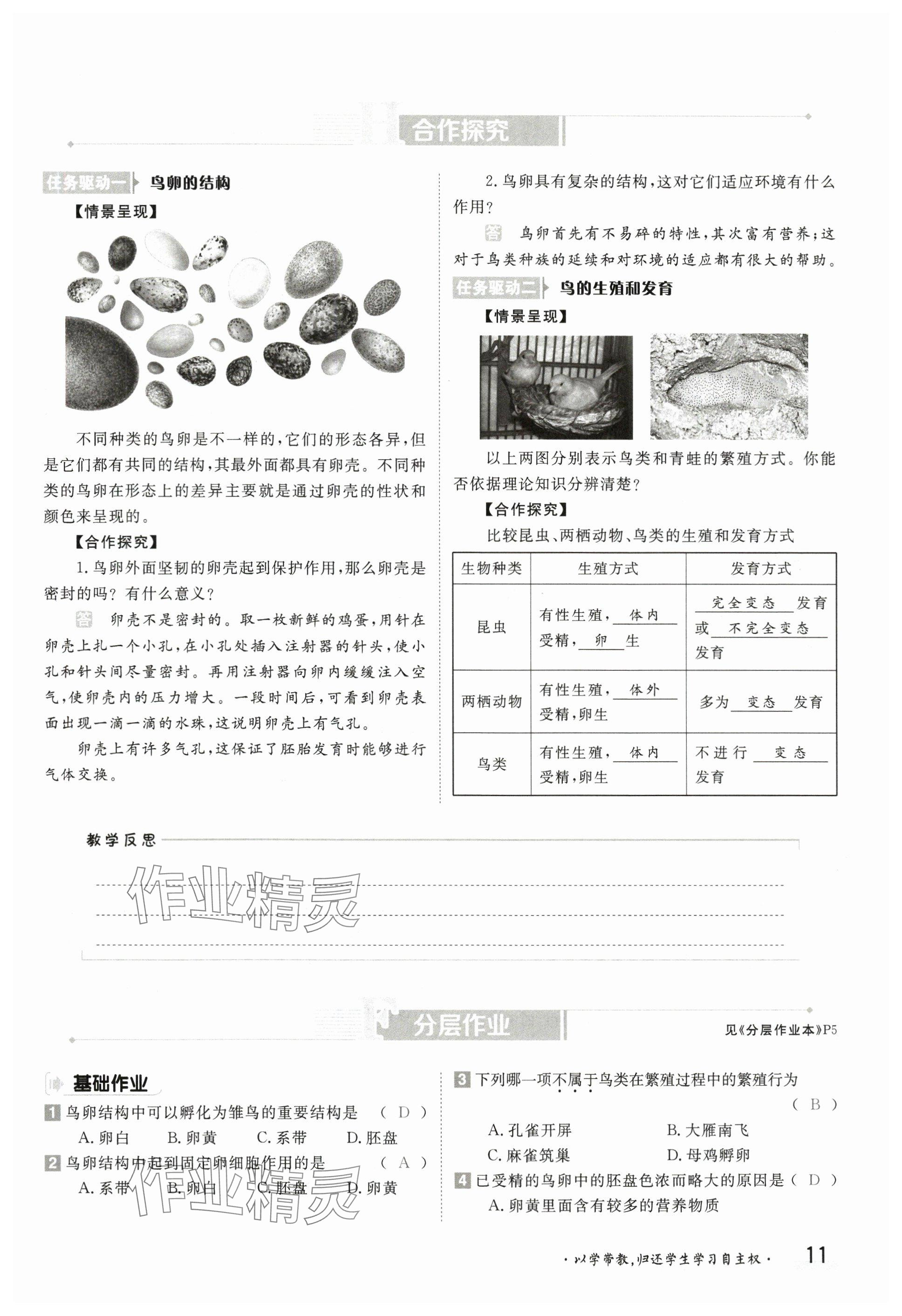 2025年金太陽導學案八年級生物下冊人教版 參考答案第11頁