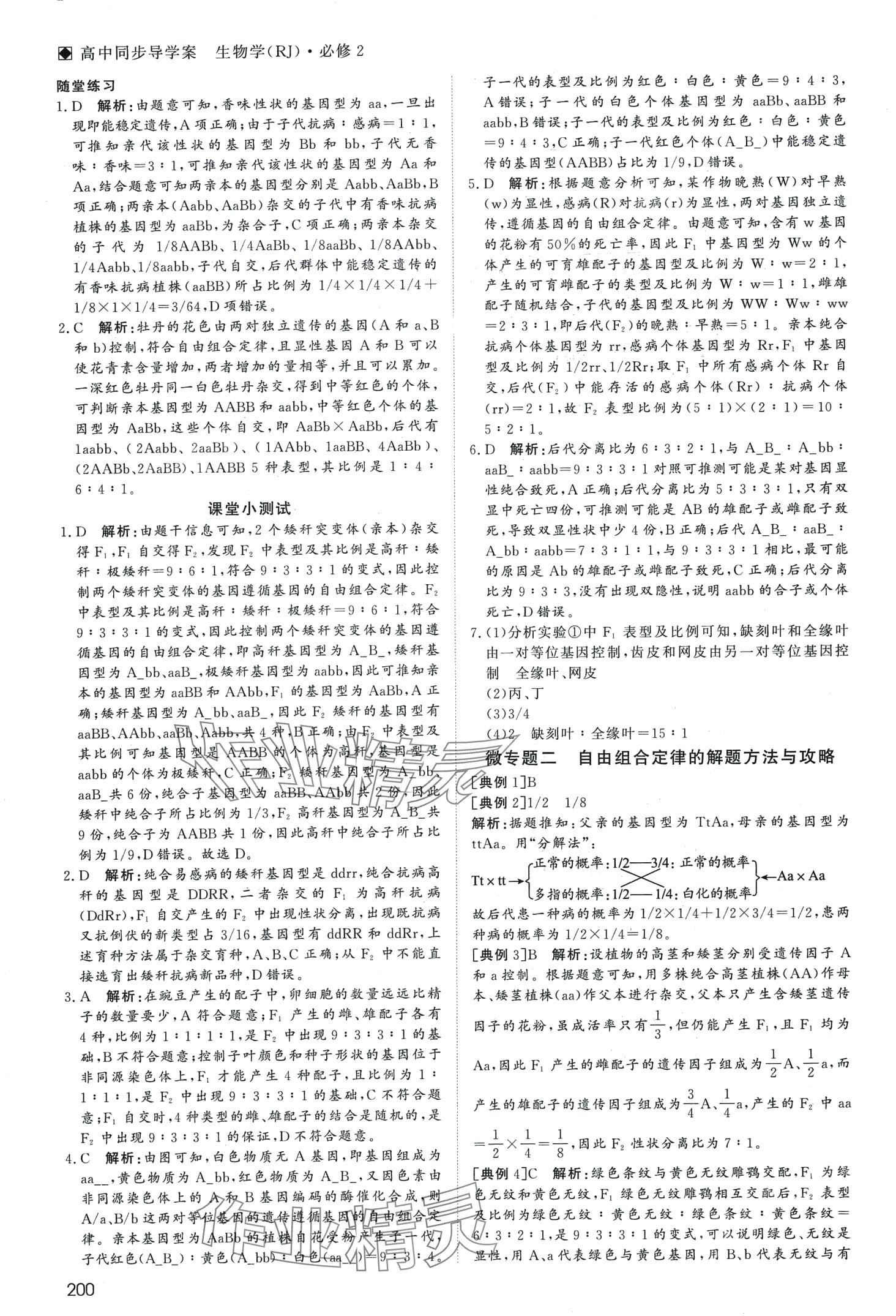 2024年名師伴你行高中同步導(dǎo)學(xué)案高中生物必修2人教版 第5頁