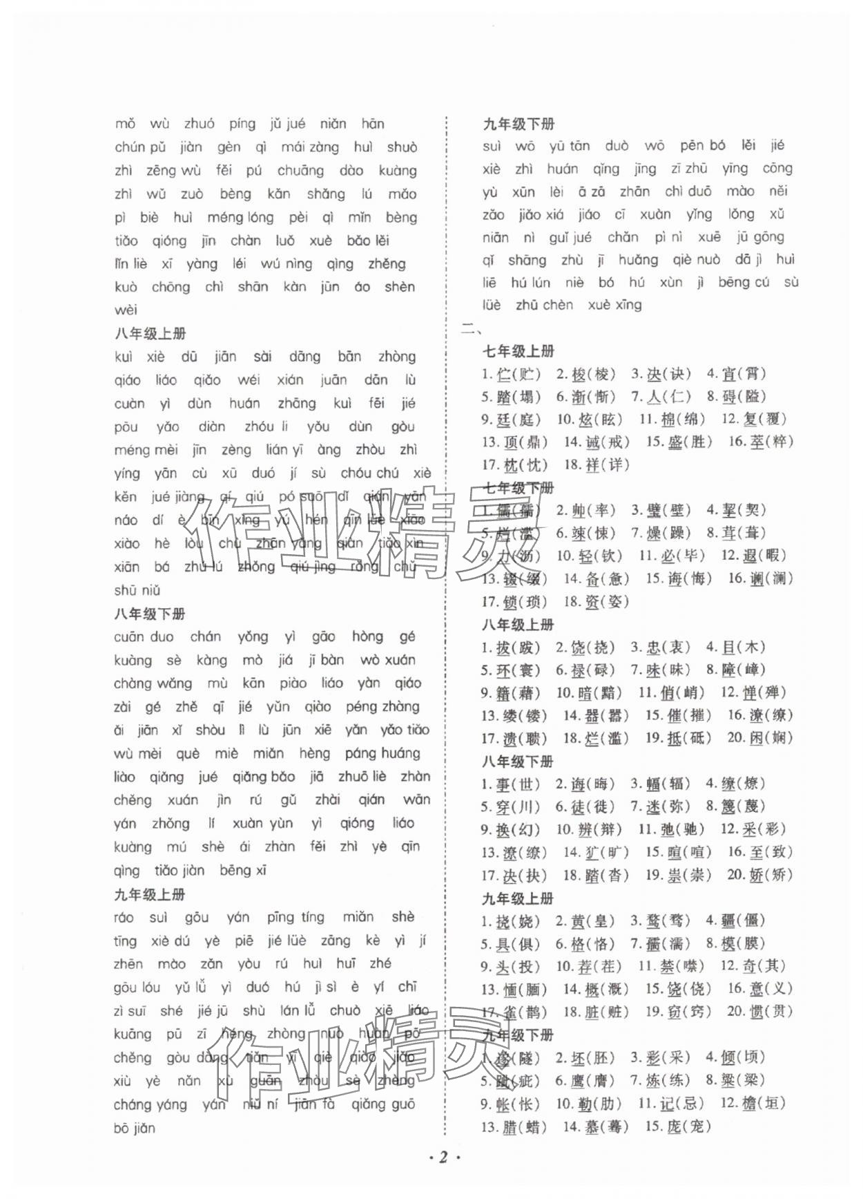 2025年本土攻略精准复习方案语文云南专版 参考答案第2页