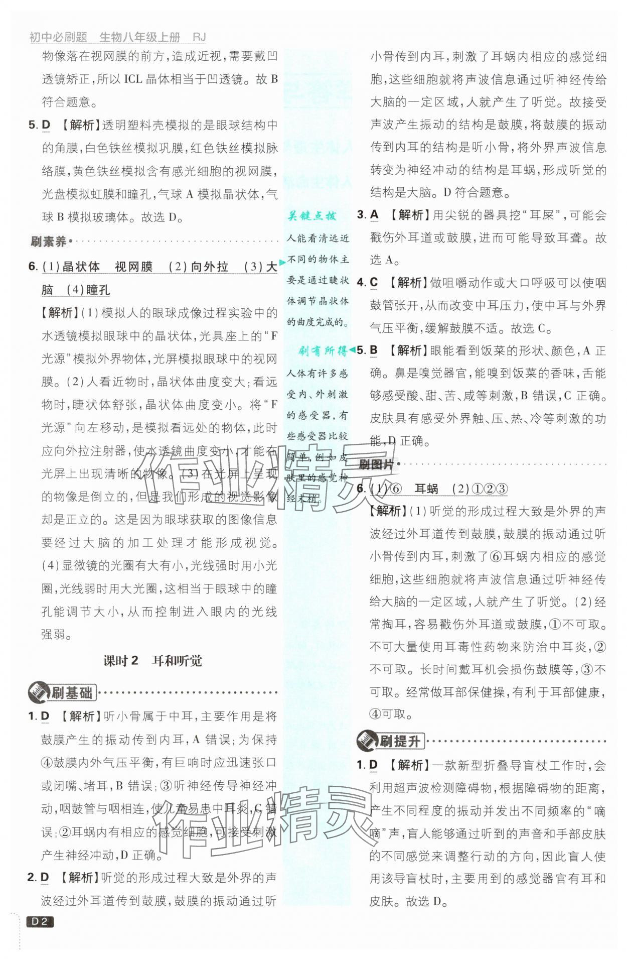 2025年初中必刷题八年级生物上册人教版 第2页