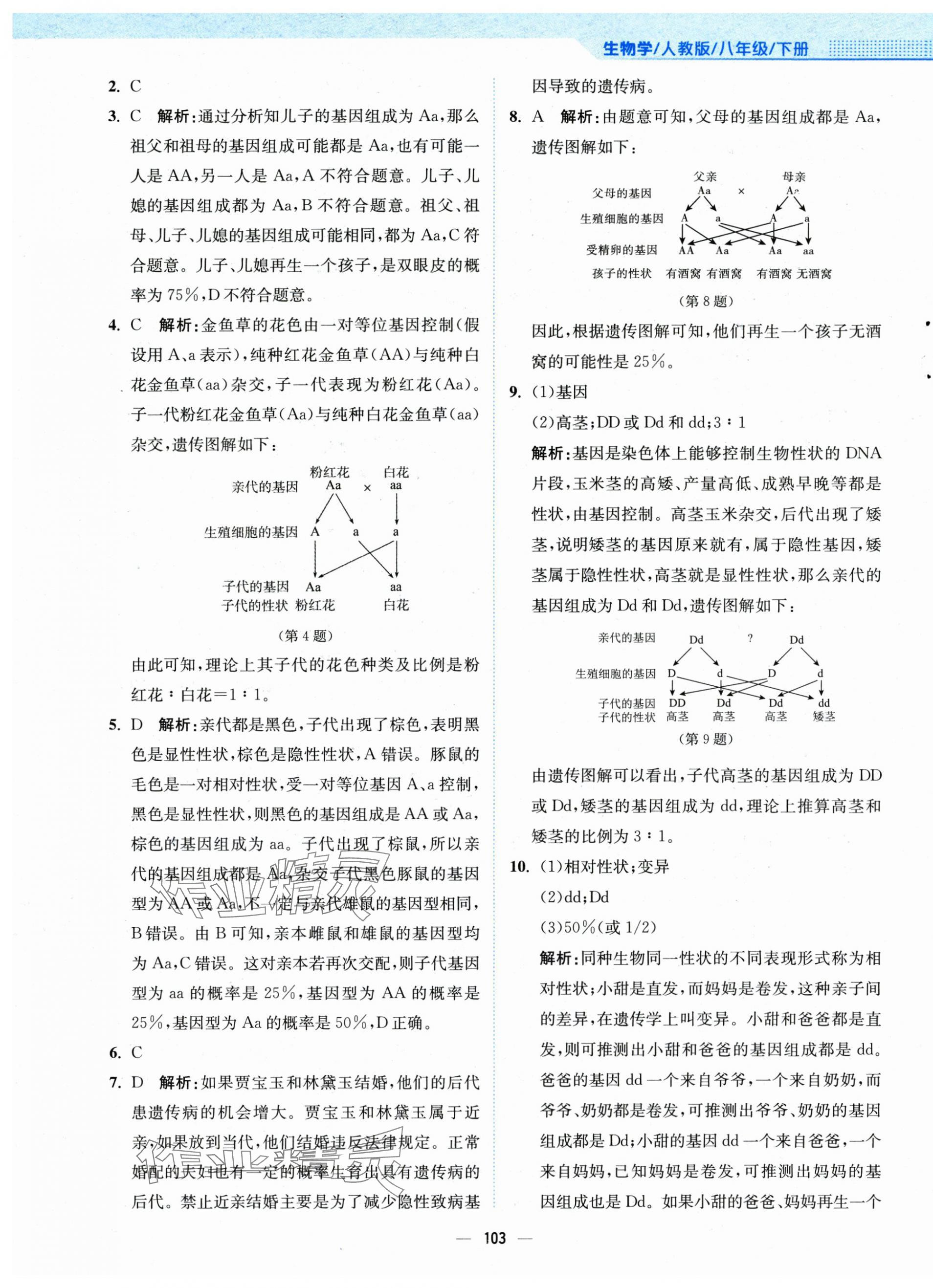 2025年新編基礎(chǔ)訓(xùn)練八年級生物下冊人教版 第7頁