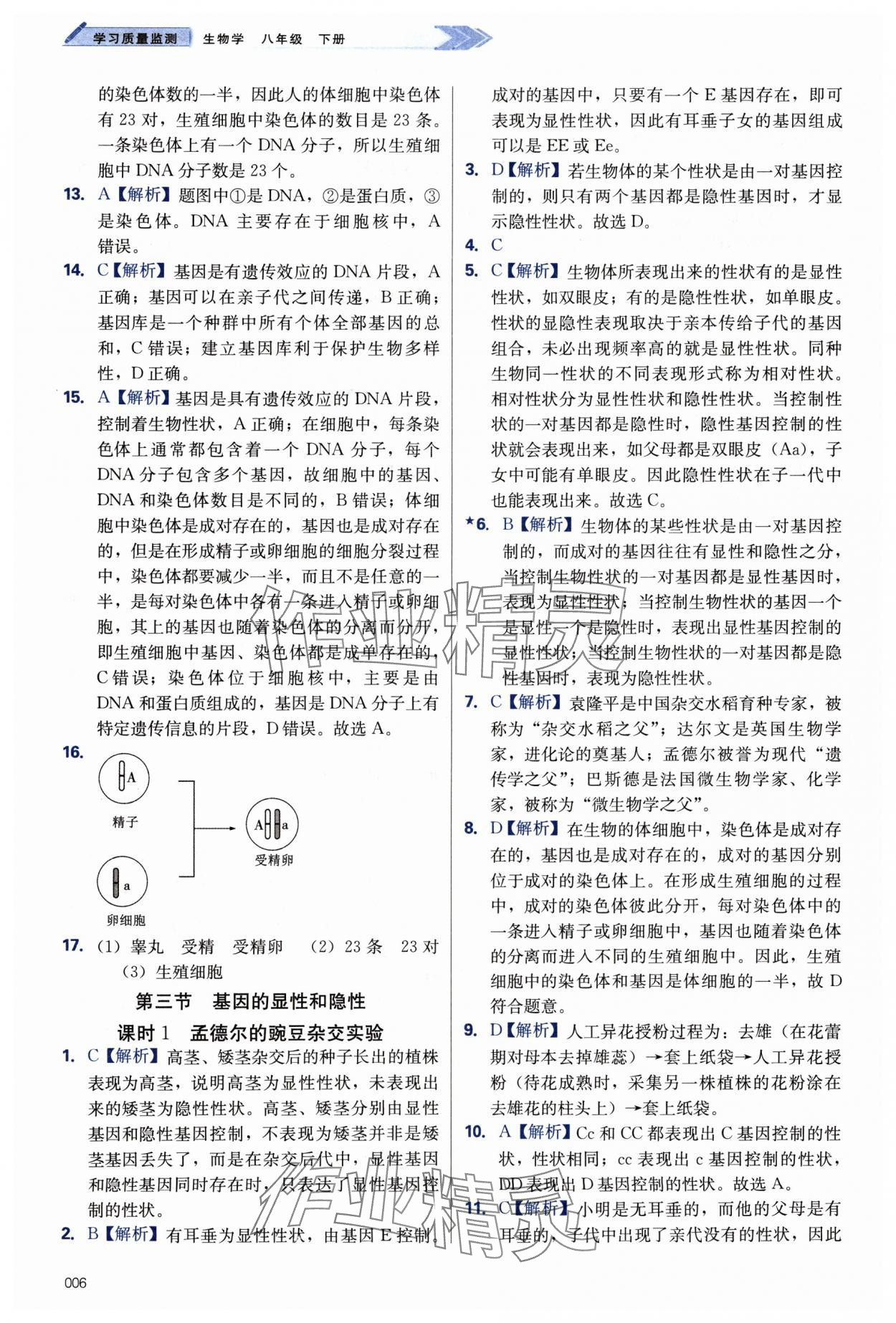 2024年學(xué)習(xí)質(zhì)量監(jiān)測八年級生物下冊人教版 第6頁