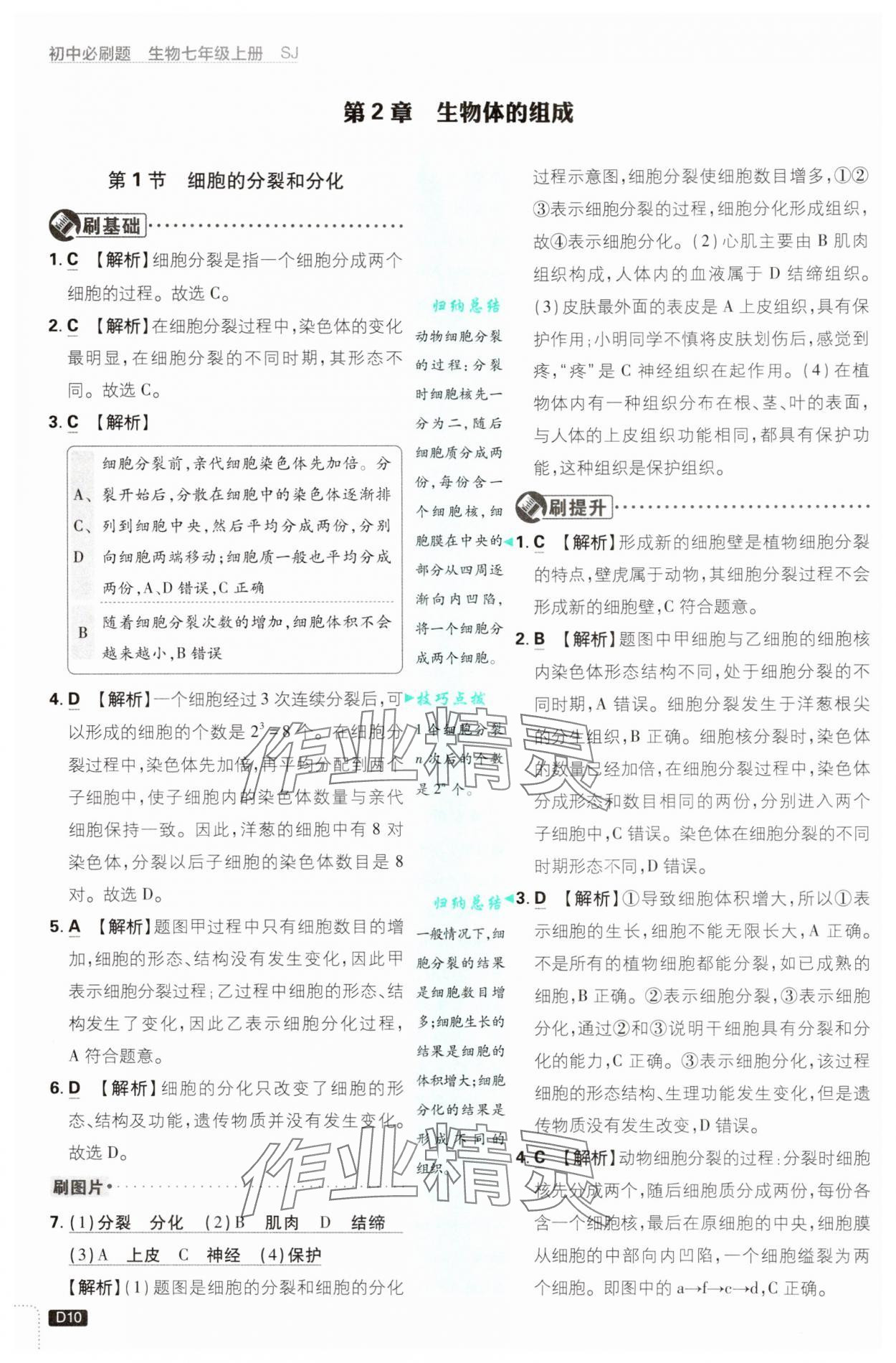 2025年初中必刷題七年級生物上冊蘇教版 第10頁