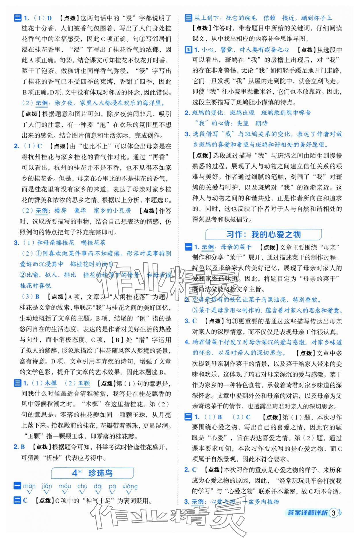 2025年綜合應(yīng)用創(chuàng)新題典中點(diǎn)五年級(jí)語文上冊(cè)人教版浙江專版 第3頁