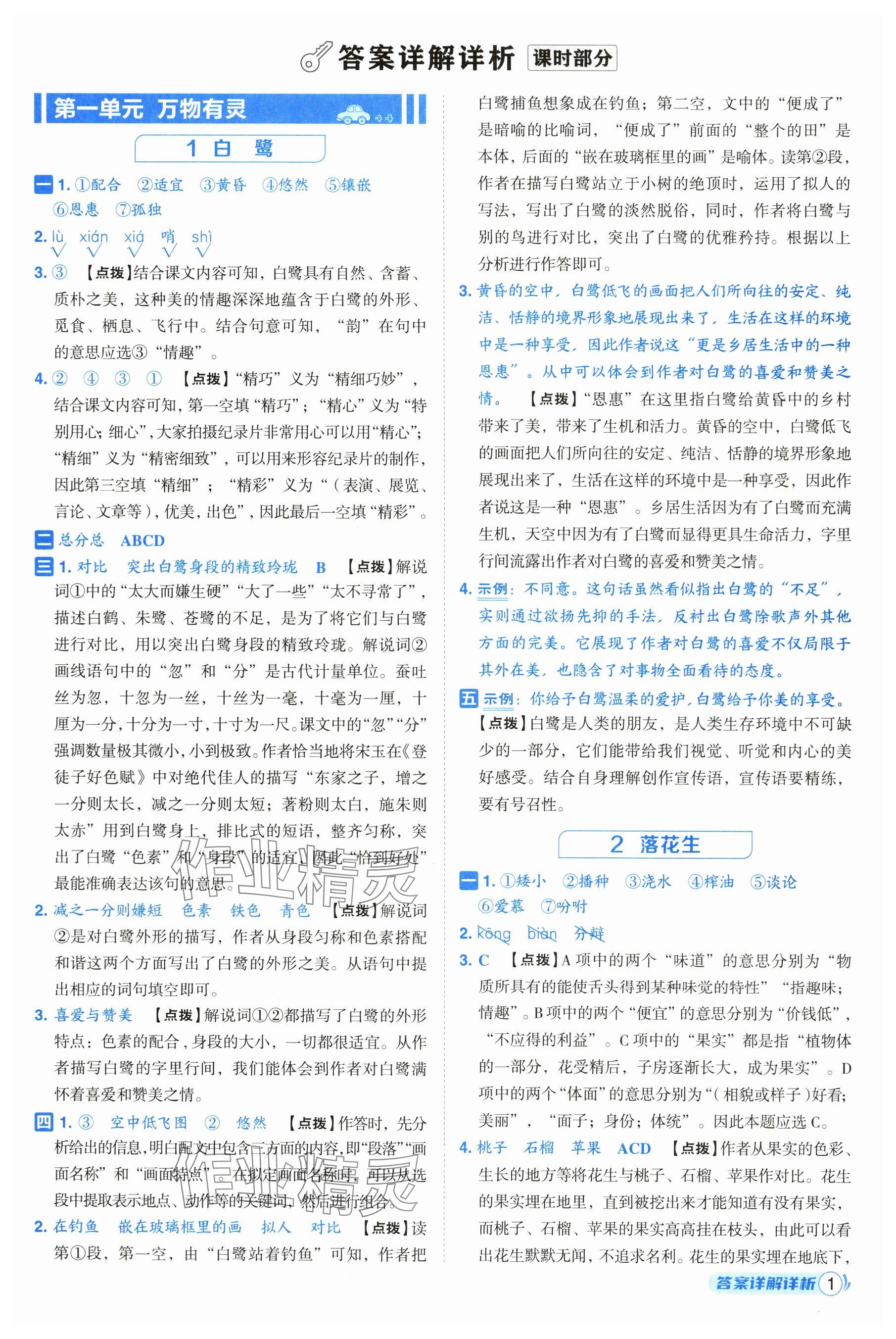 2025年综合应用创新题典中点五年级语文上册人教版（Y专版） 参考答案第1页