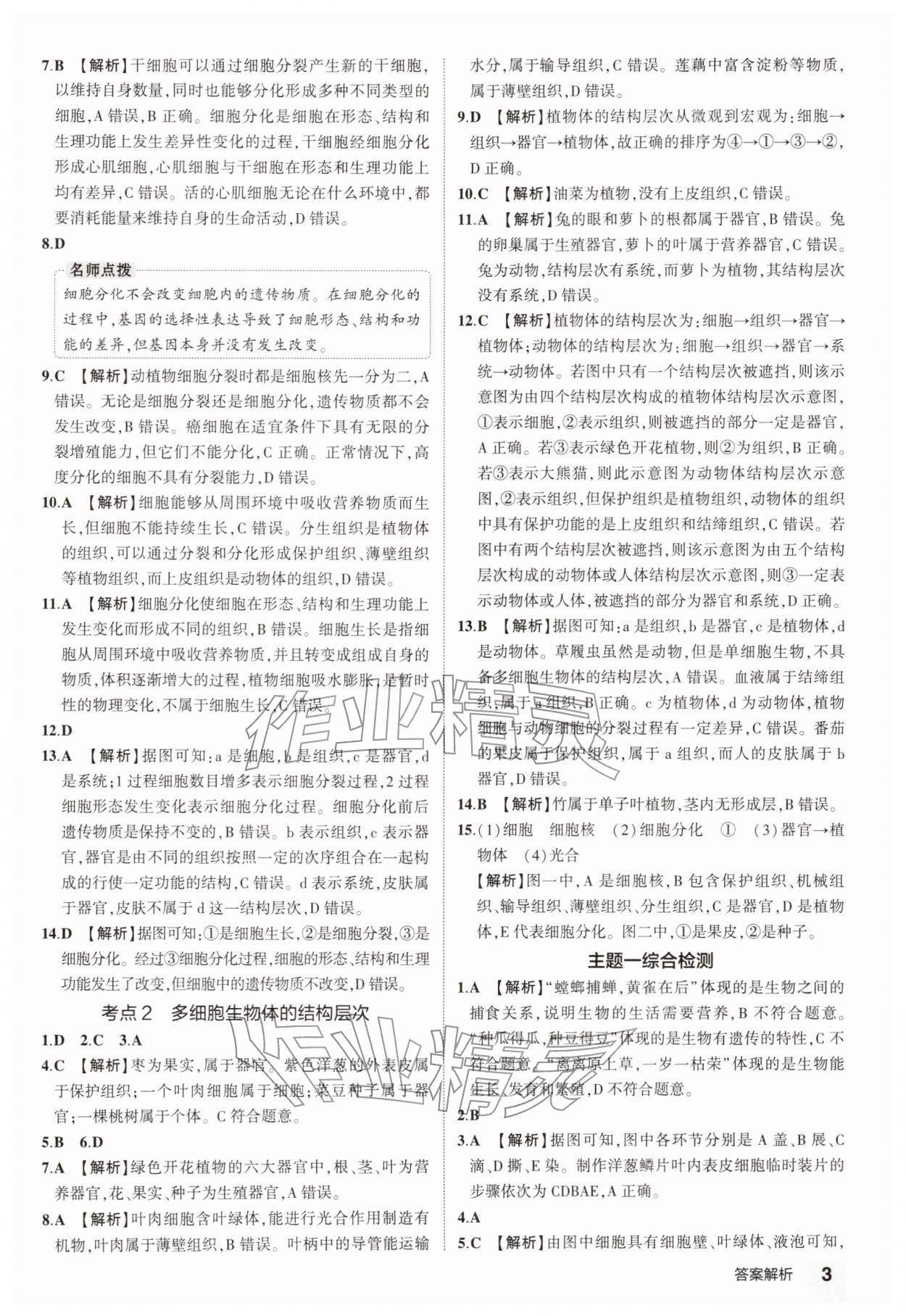 2026年5年中考3年模拟中考生物 参考答案第3页
