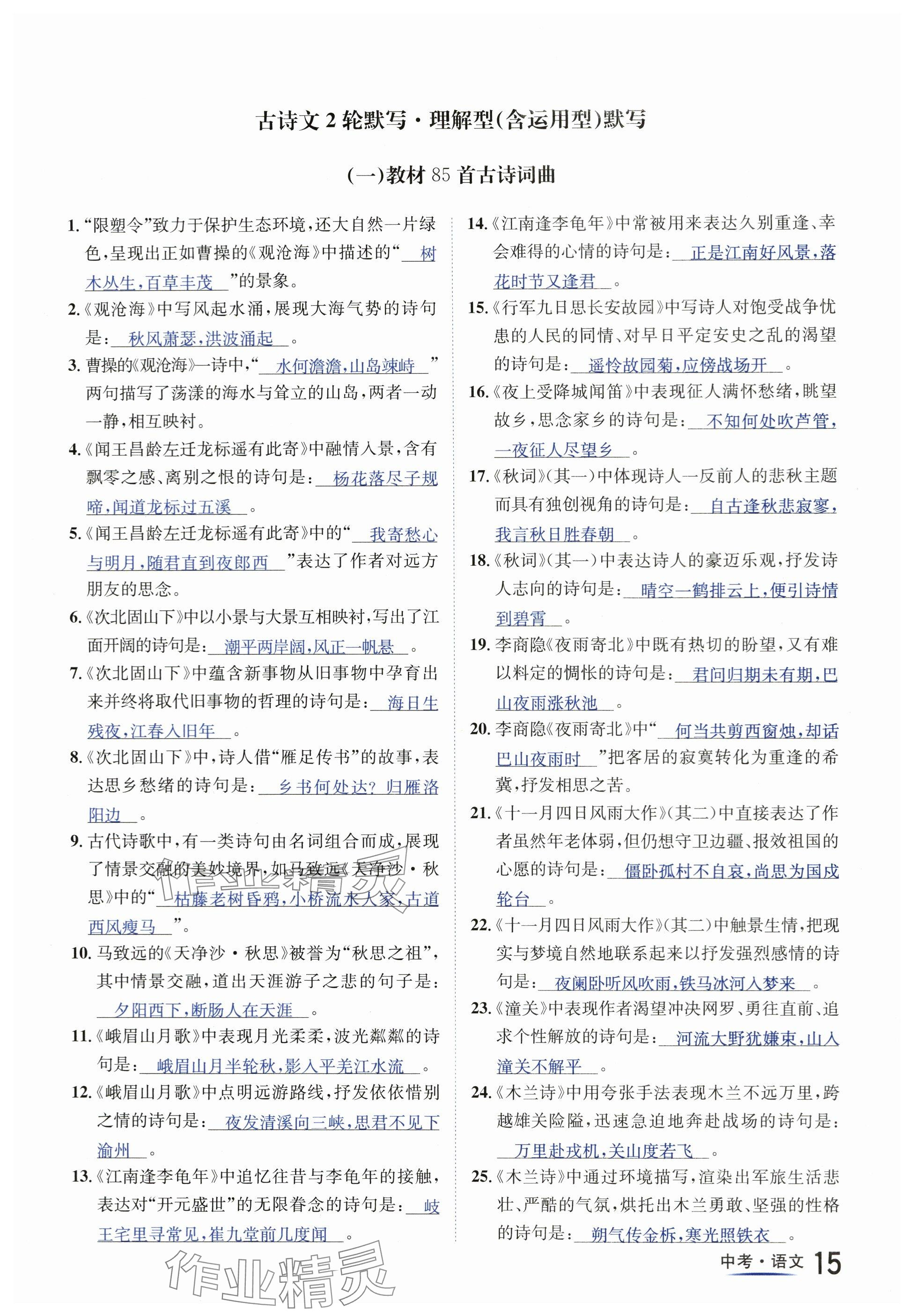 2024年國華圖書中考拐點(diǎn)語文南充專版 參考答案第15頁