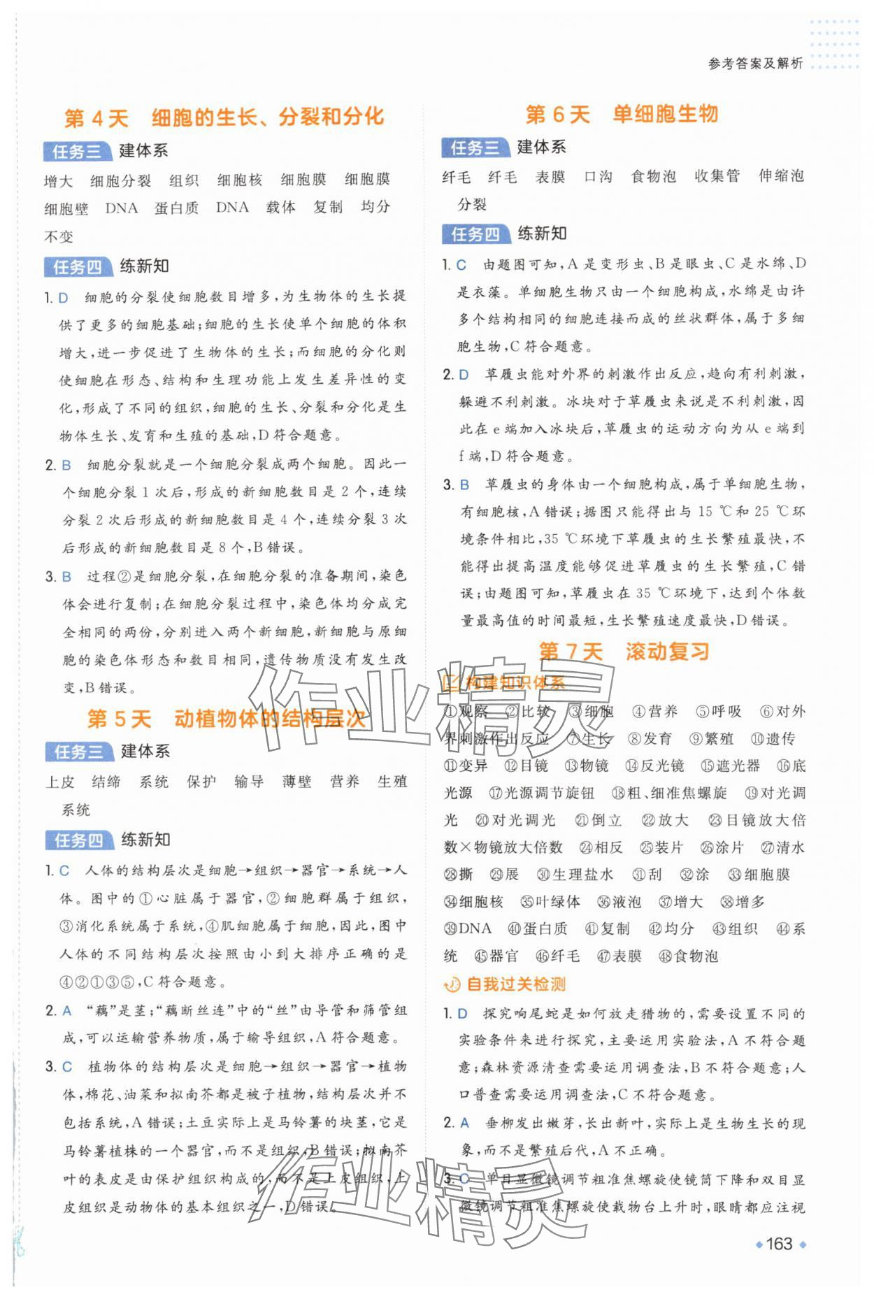 2025年预备新初一小升初史地生政 参考答案第2页