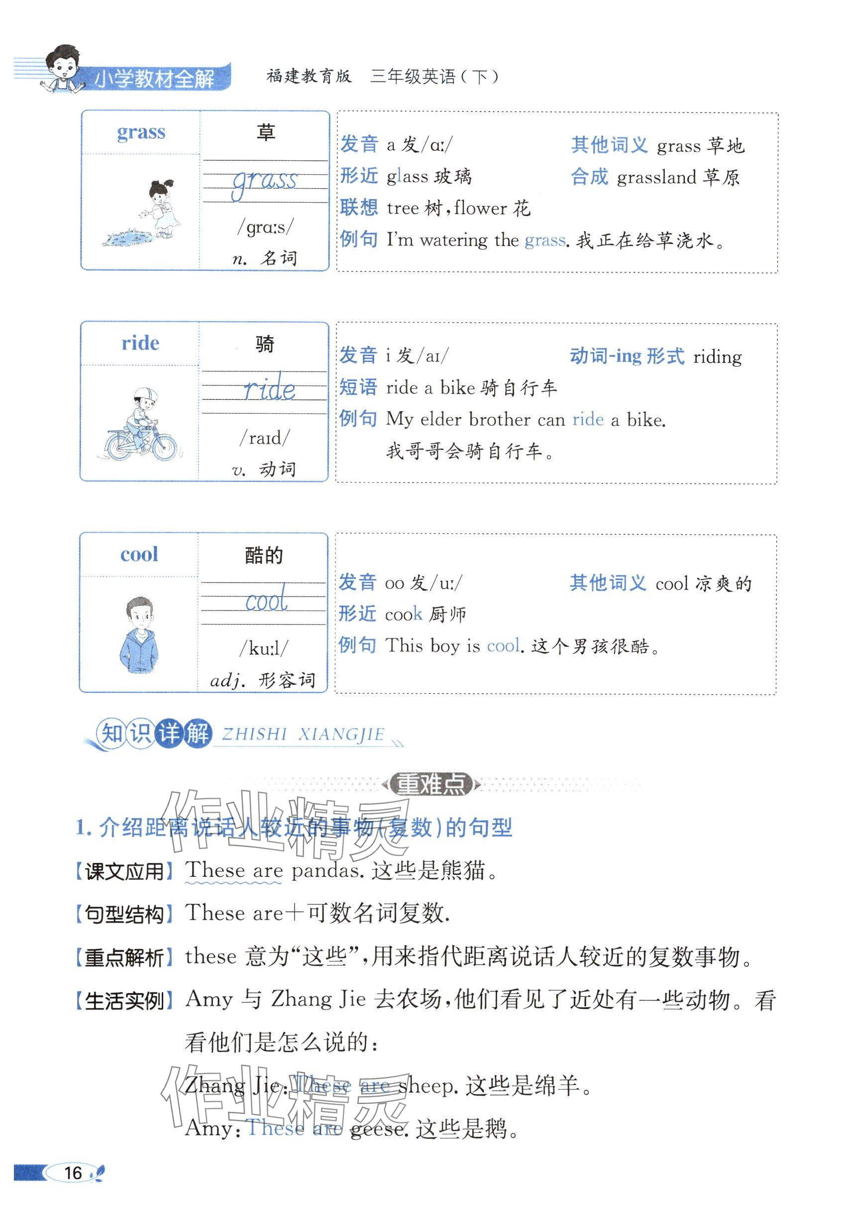 2025年教材課本三年級英語下冊閩教版 參考答案第16頁