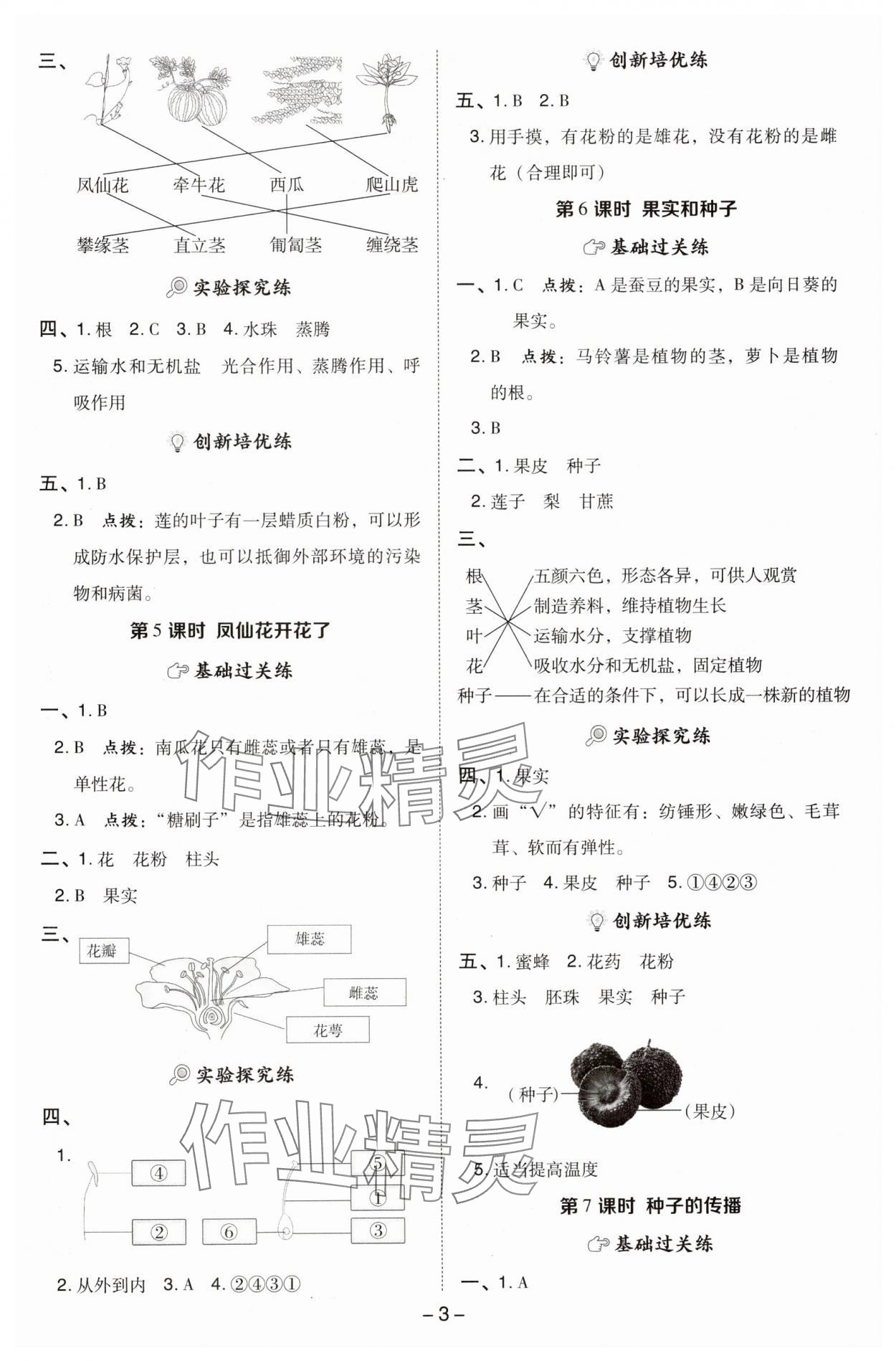 2025年綜合應用創(chuàng)新題典中點四年級科學下冊教科版 參考答案第2頁