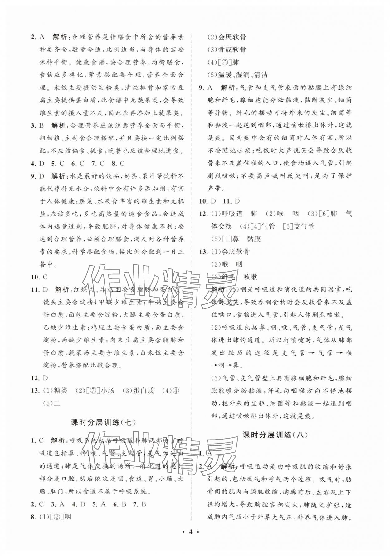 2024年同步练习册分层卷七年级生物上册鲁科版54制 参考答案第4页