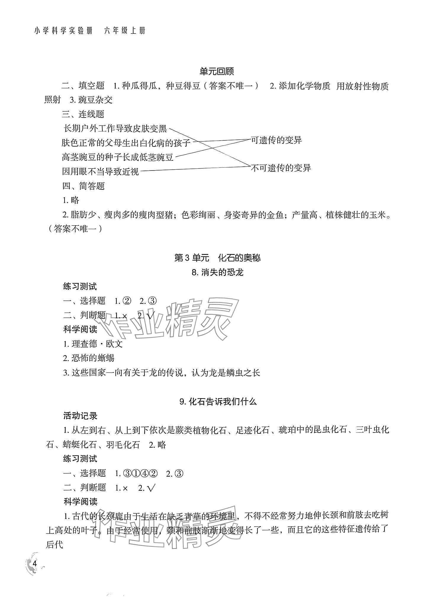 2024年小学科学实验册六年级上册双色版 参考答案第4页