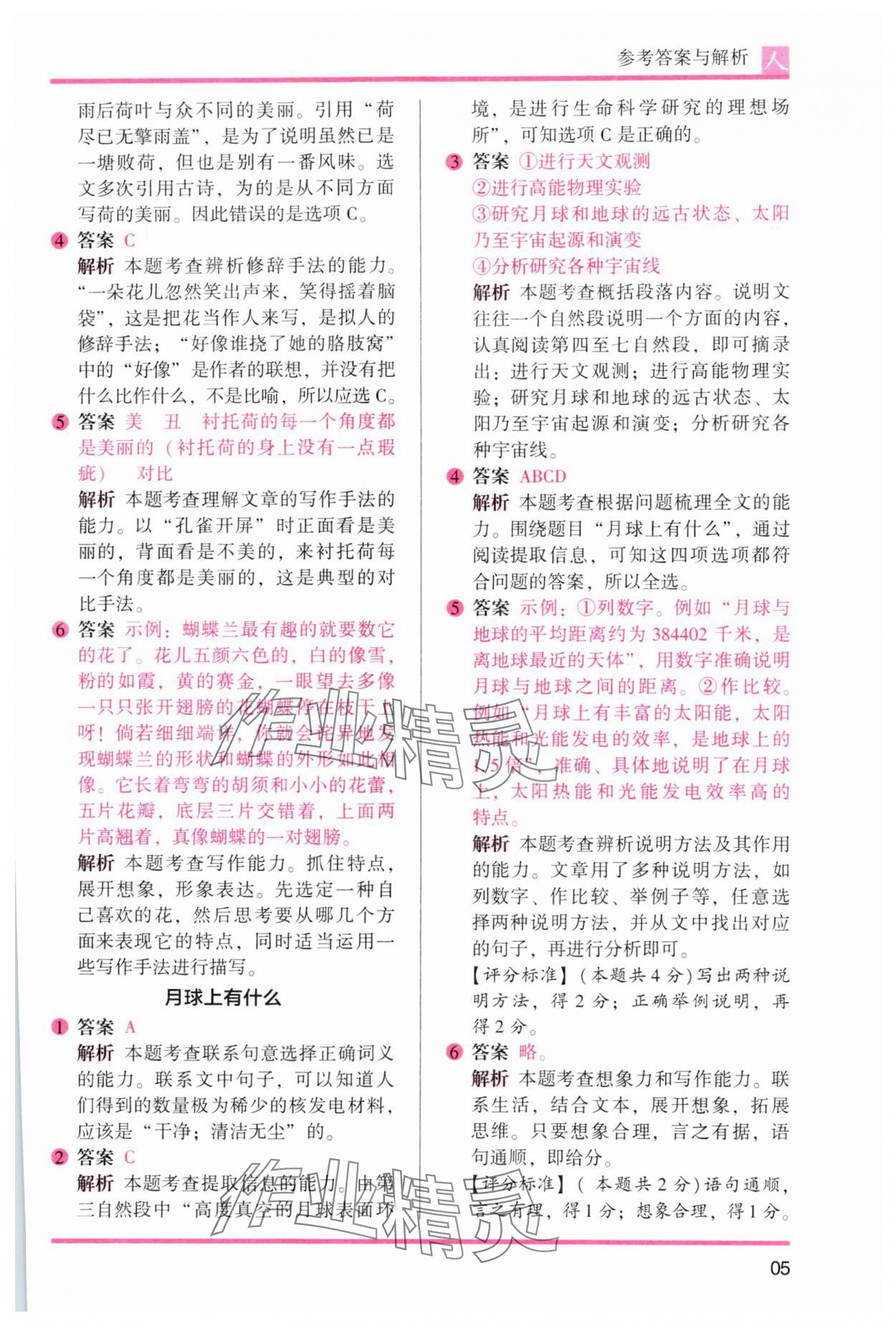 2023年木頭馬閱讀力測評五年級語文人教版 參考答案第7頁