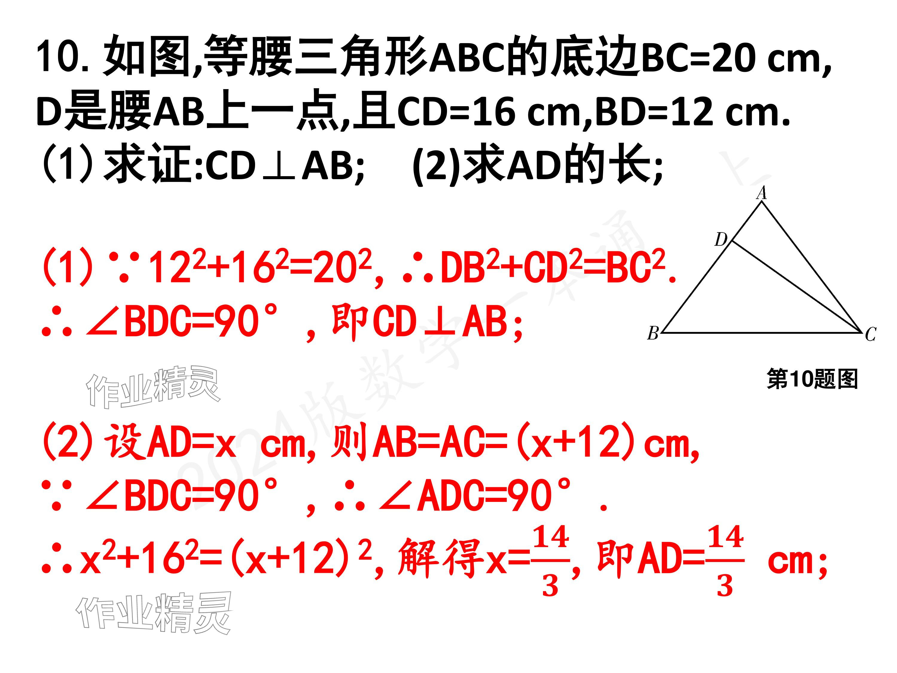 2024年一本通武漢出版社八年級數(shù)學(xué)上冊北師大版核心板 參考答案第24頁