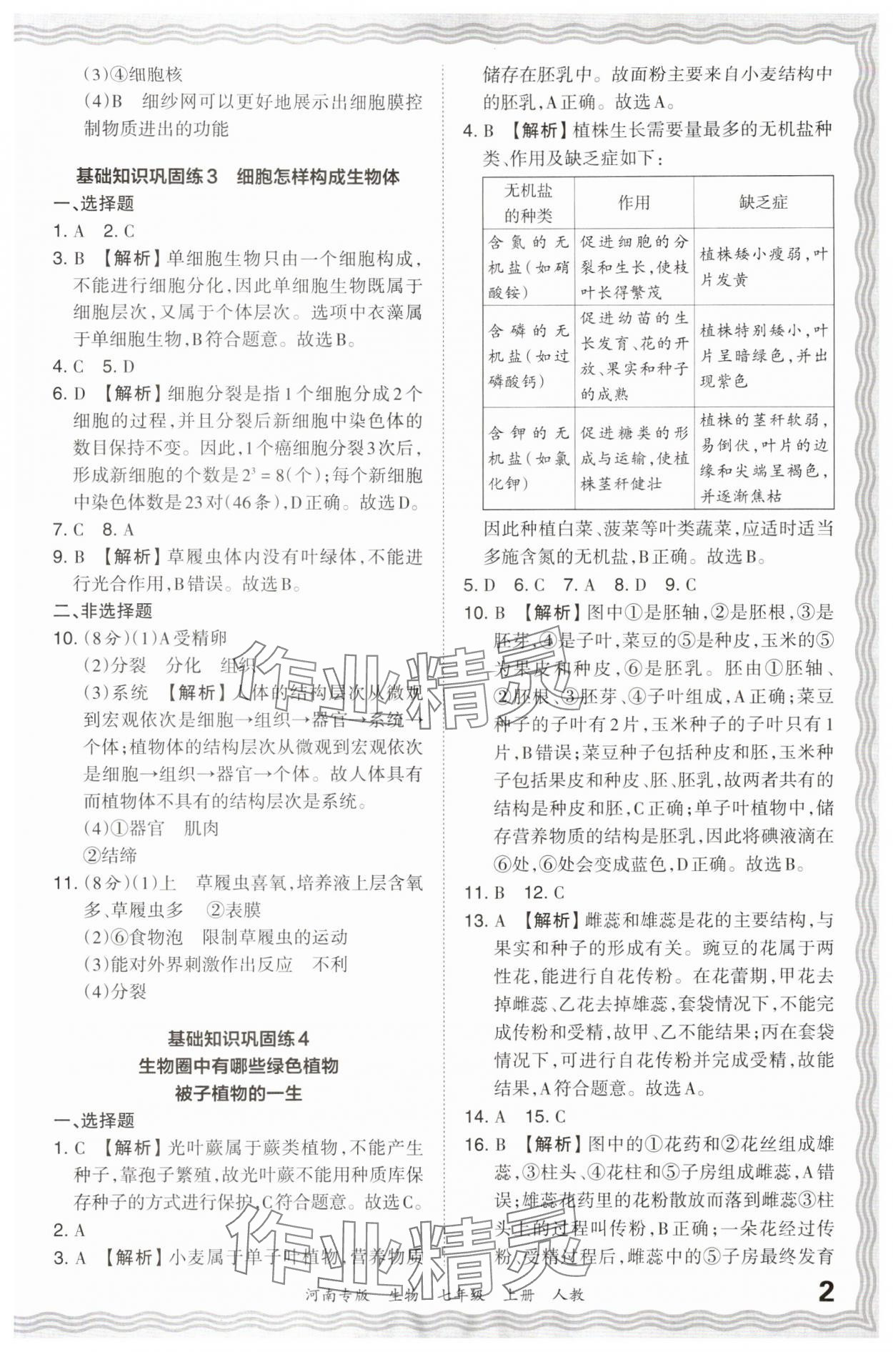 2023年王朝霞各地期末试卷精选七年级生物上册人教版河南专版 参考答案第2页