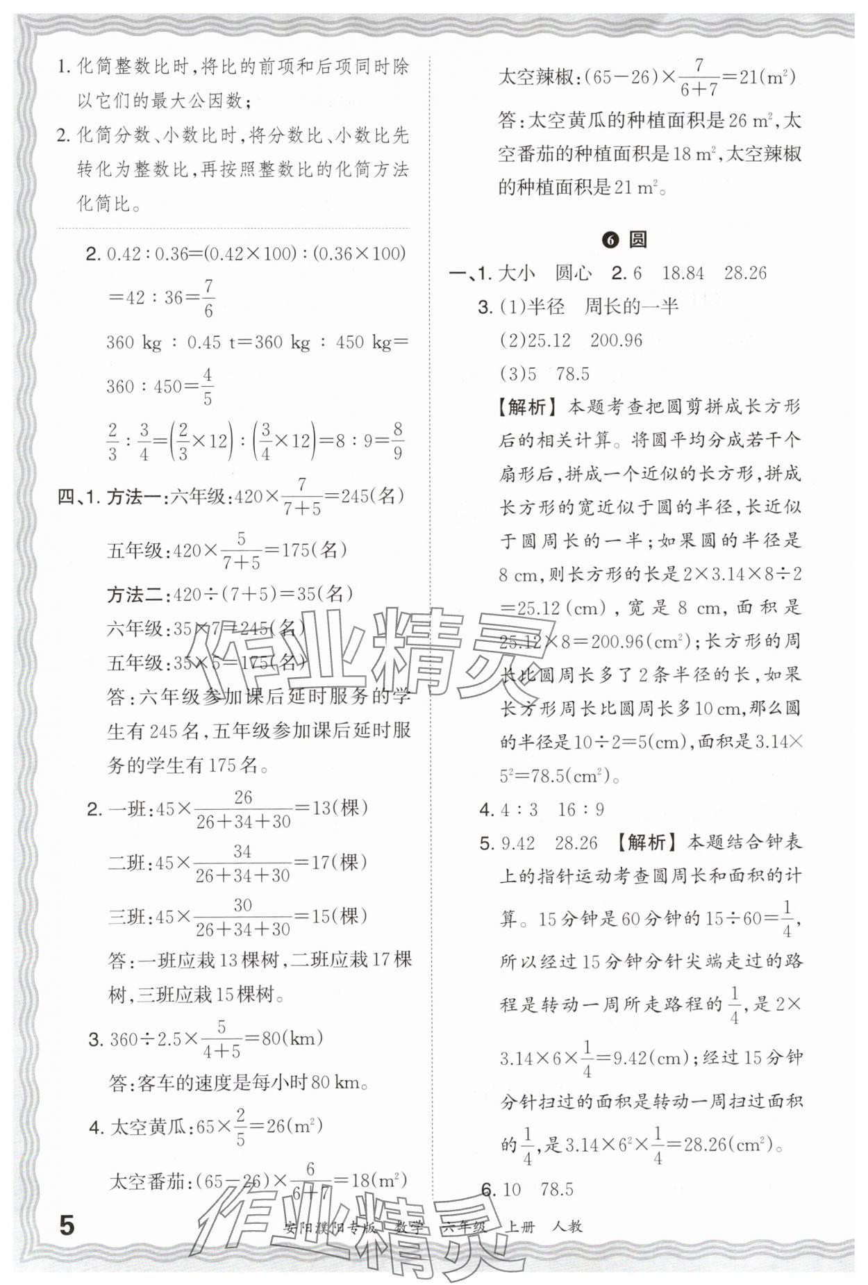 2024年王朝霞期末真題精編六年級數(shù)學上冊人教版安濮專版 參考答案第5頁