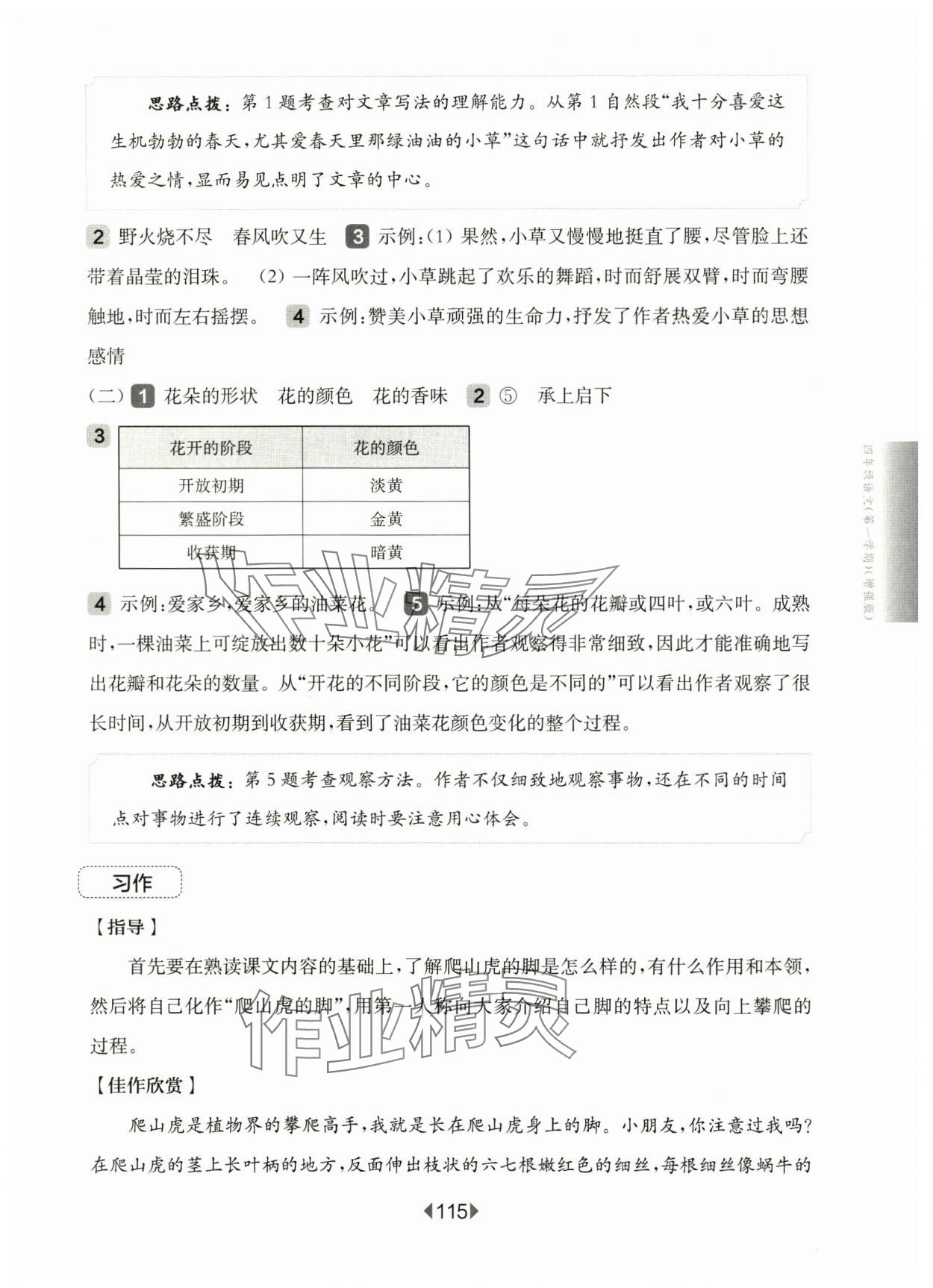 2024年華東師大版一課一練四年級(jí)語(yǔ)文上冊(cè)人教版54制增強(qiáng)版 第9頁(yè)