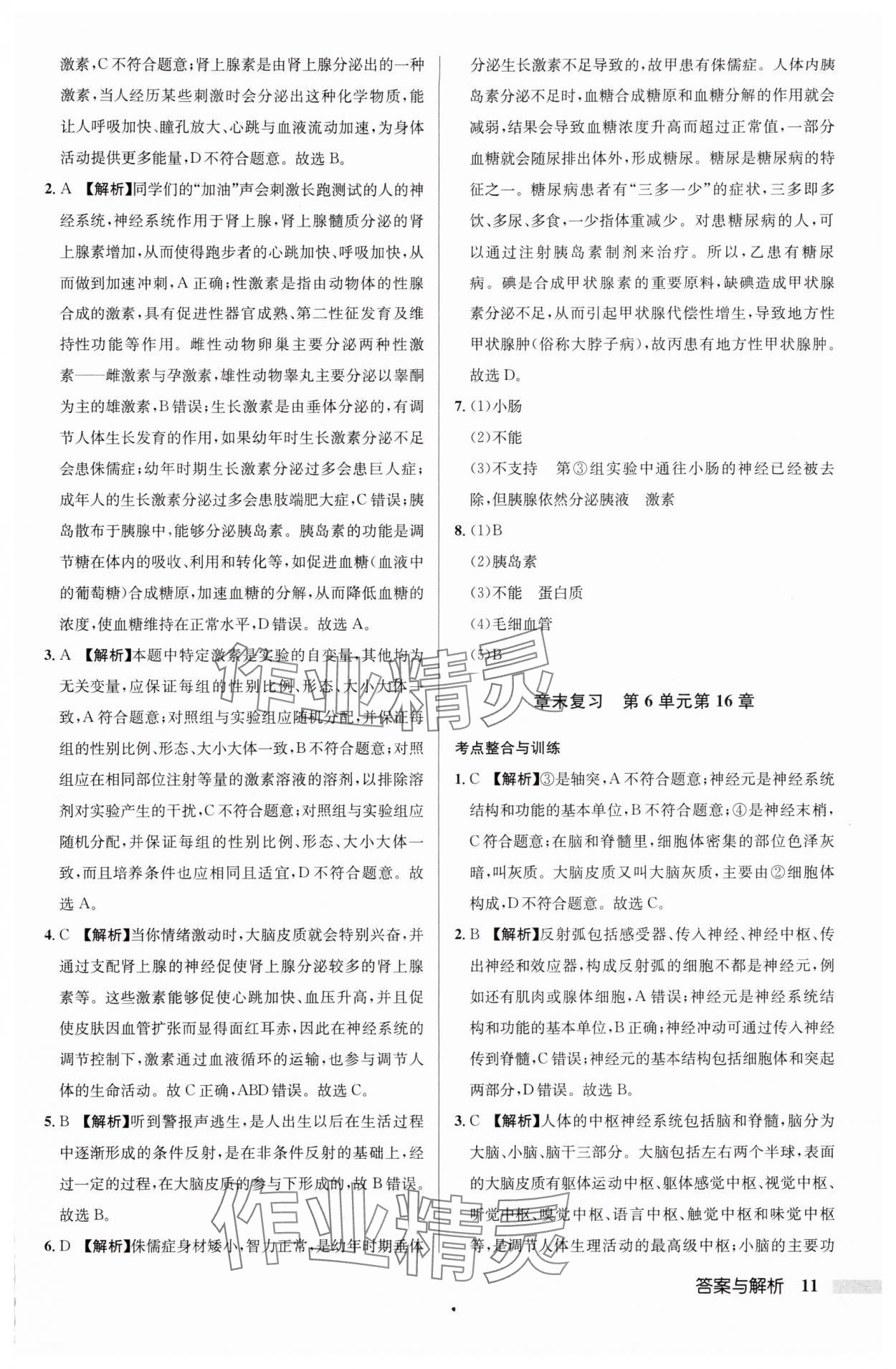 2024年啟東中學(xué)作業(yè)本八年級生物全一冊蘇科版 參考答案第11頁