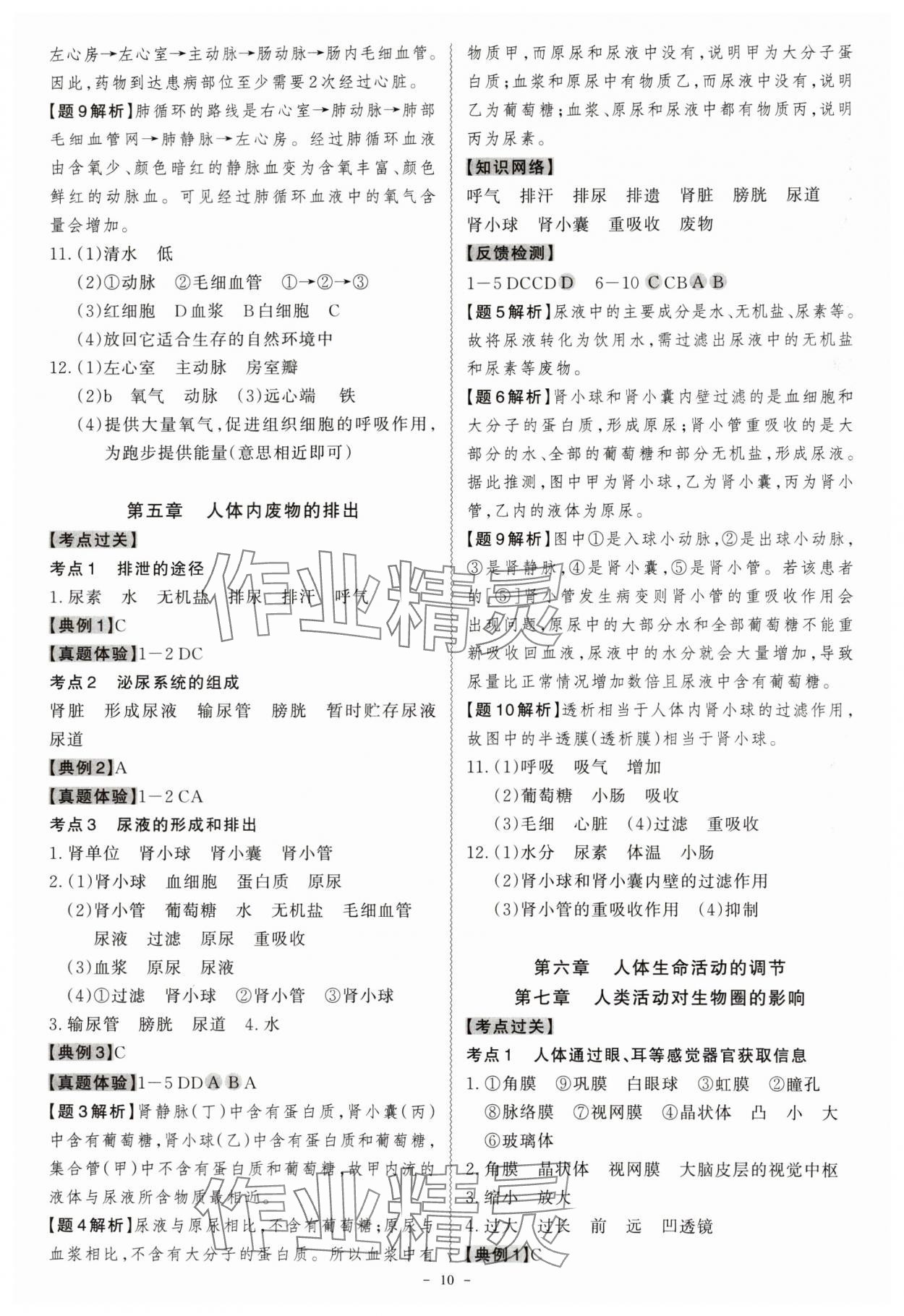2024年名师中考生物广东专用&nbsp;第10页