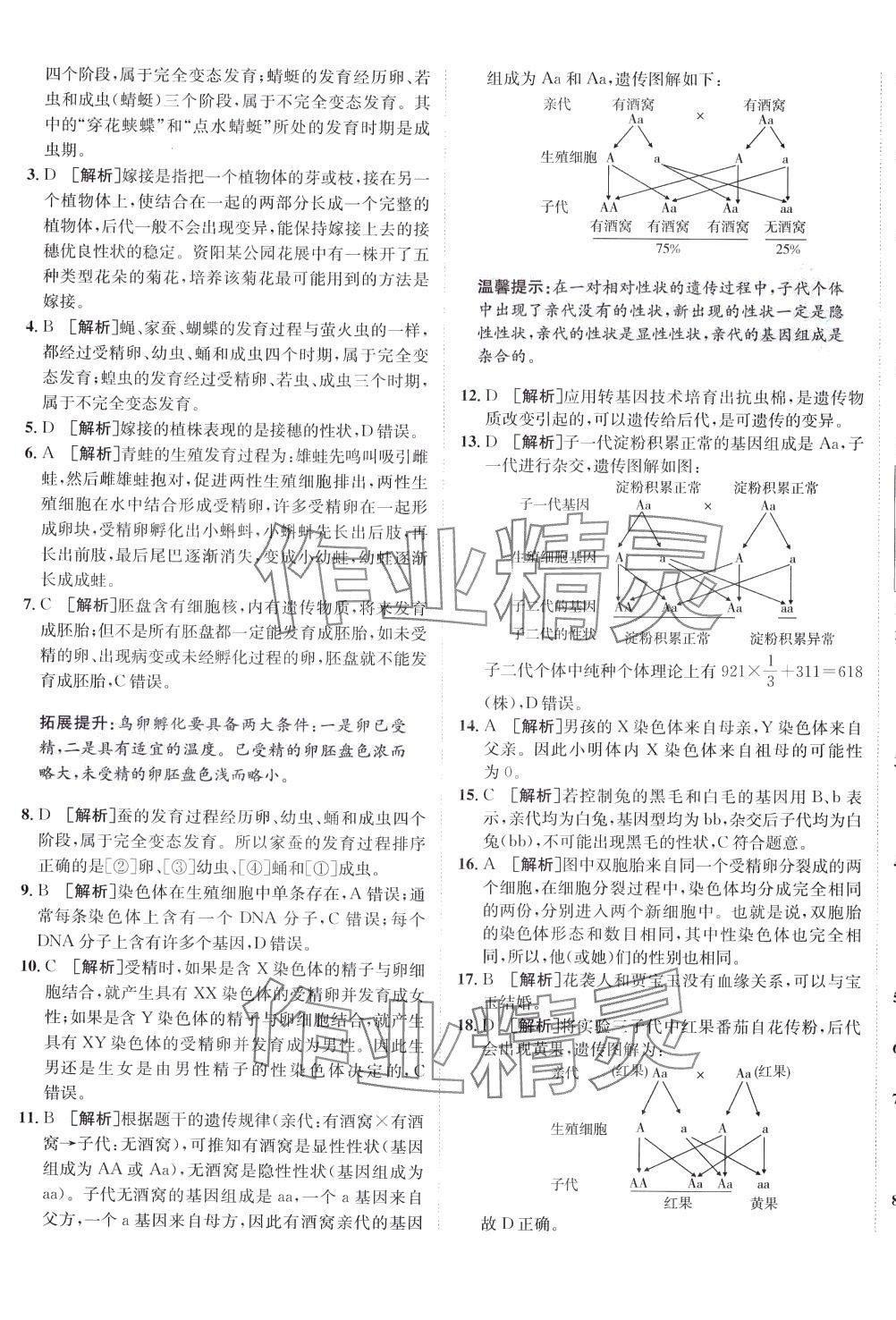 2024年海淀單元測(cè)試AB卷八年級(jí)生物下冊(cè)人教版 第5頁(yè)