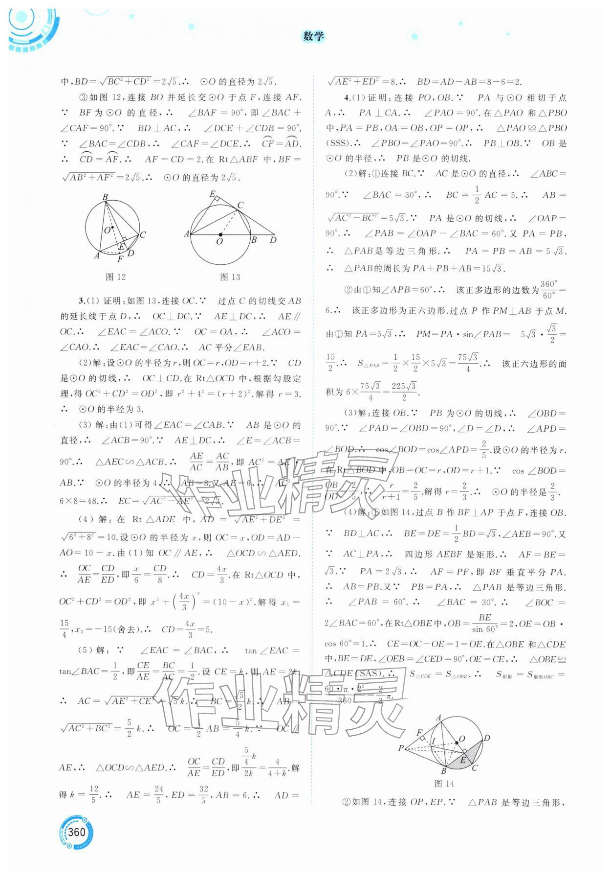 2026年中考先锋中考总复习数学中考人教版&nbsp;参考答案第19页