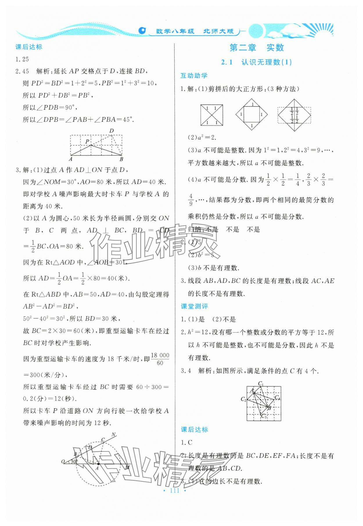 2023年學(xué)力水平同步檢測(cè)與評(píng)估八年級(jí)數(shù)學(xué)上冊(cè)北師大版 第3頁