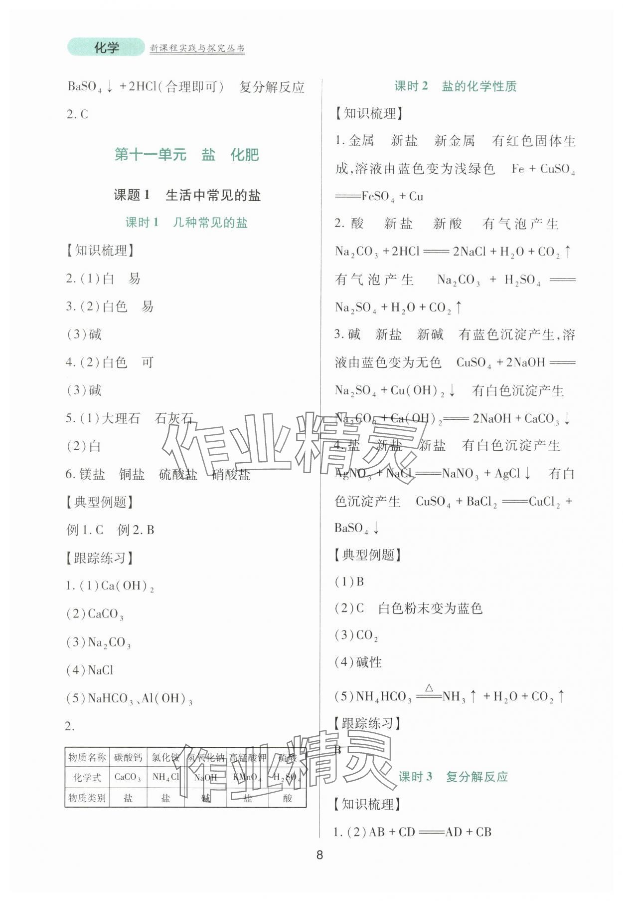 2024年新课程实践与探究丛书九年级化学下册人教版 第8页