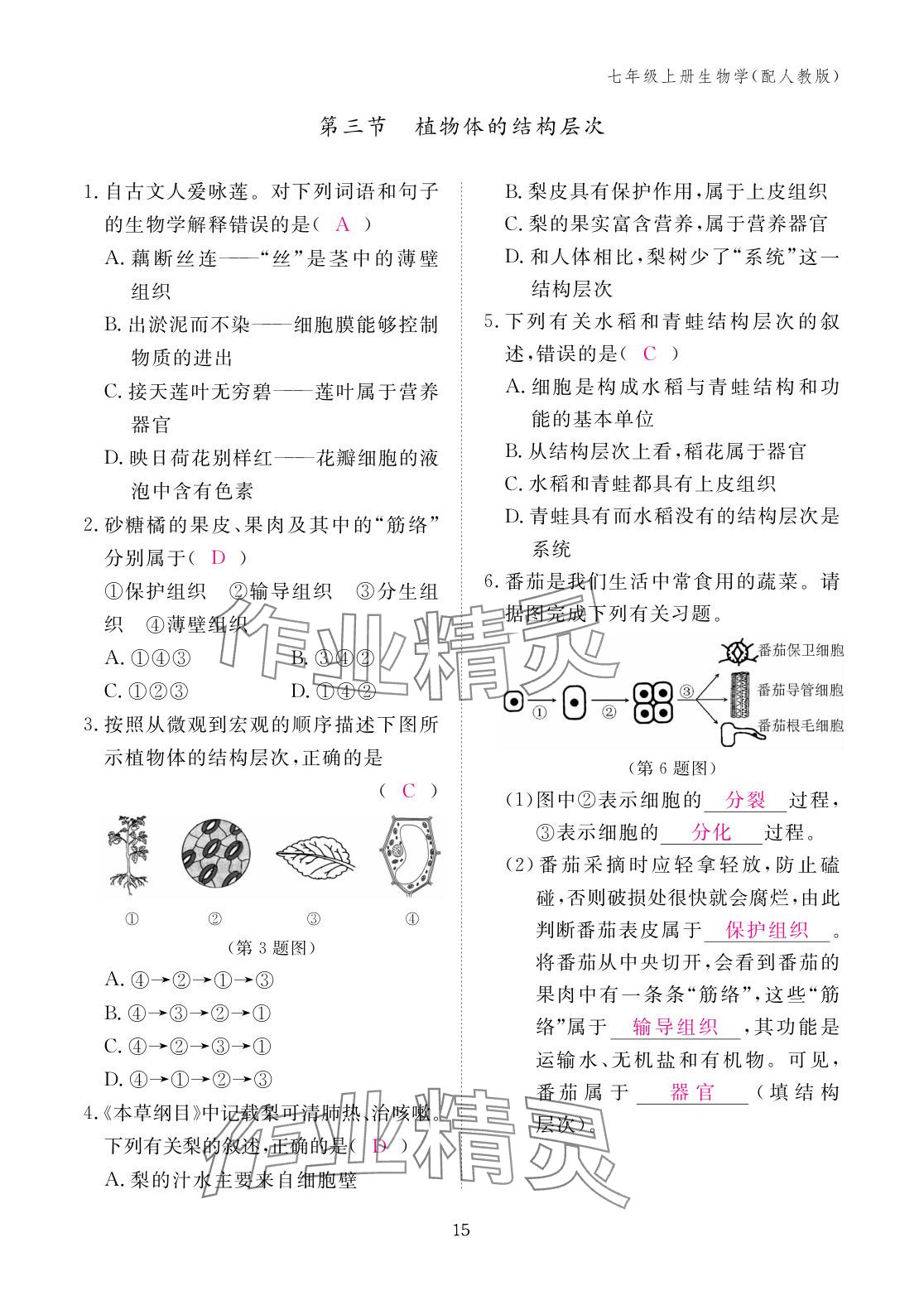 2025年作業本江西教育出版社七年級生物上冊人教版&nbsp;參考答案第15頁
