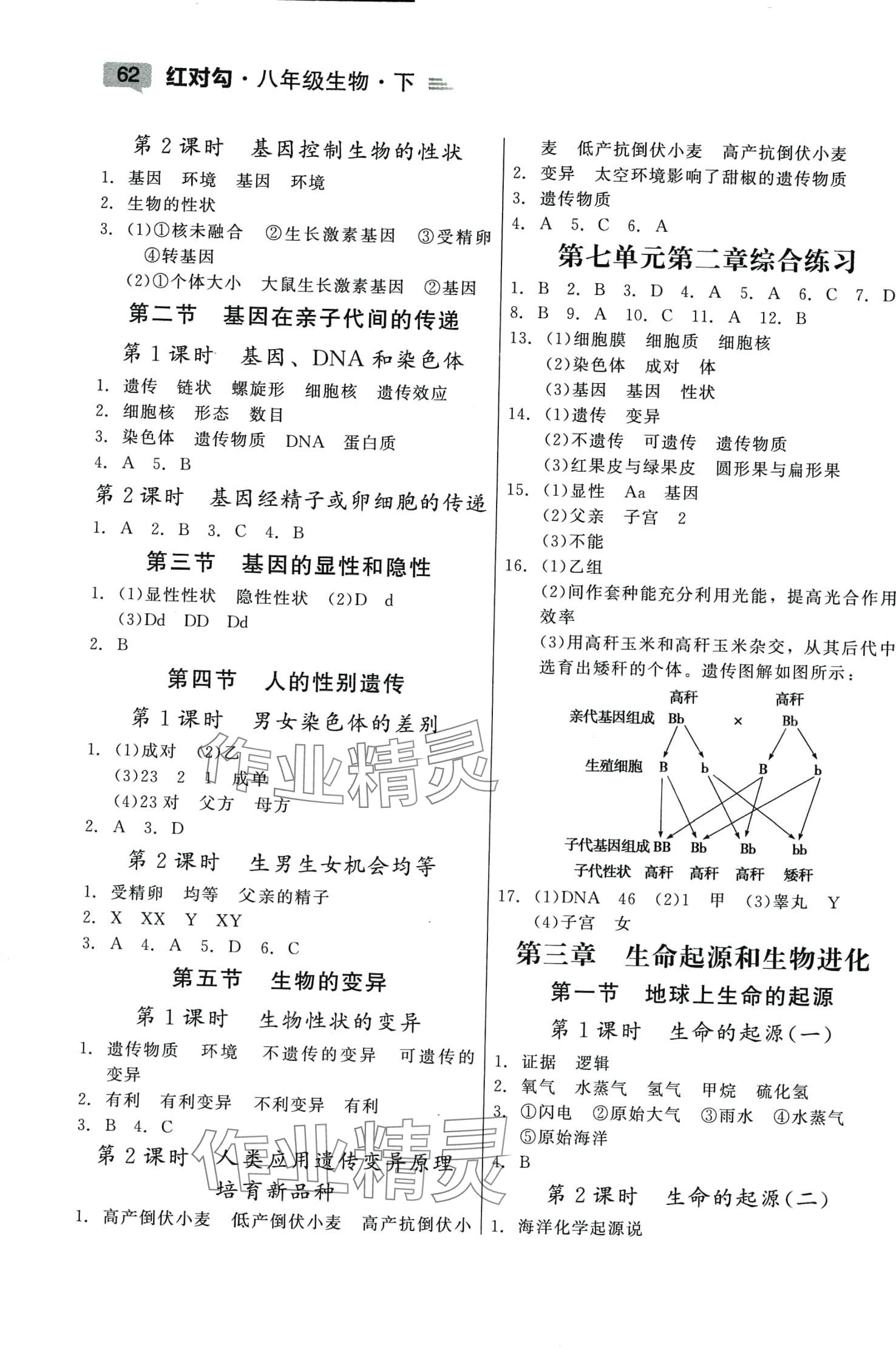 2024年紅對(duì)勾45分鐘作業(yè)與單元評(píng)估八年級(jí)生物下冊(cè)人教版 第2頁(yè)