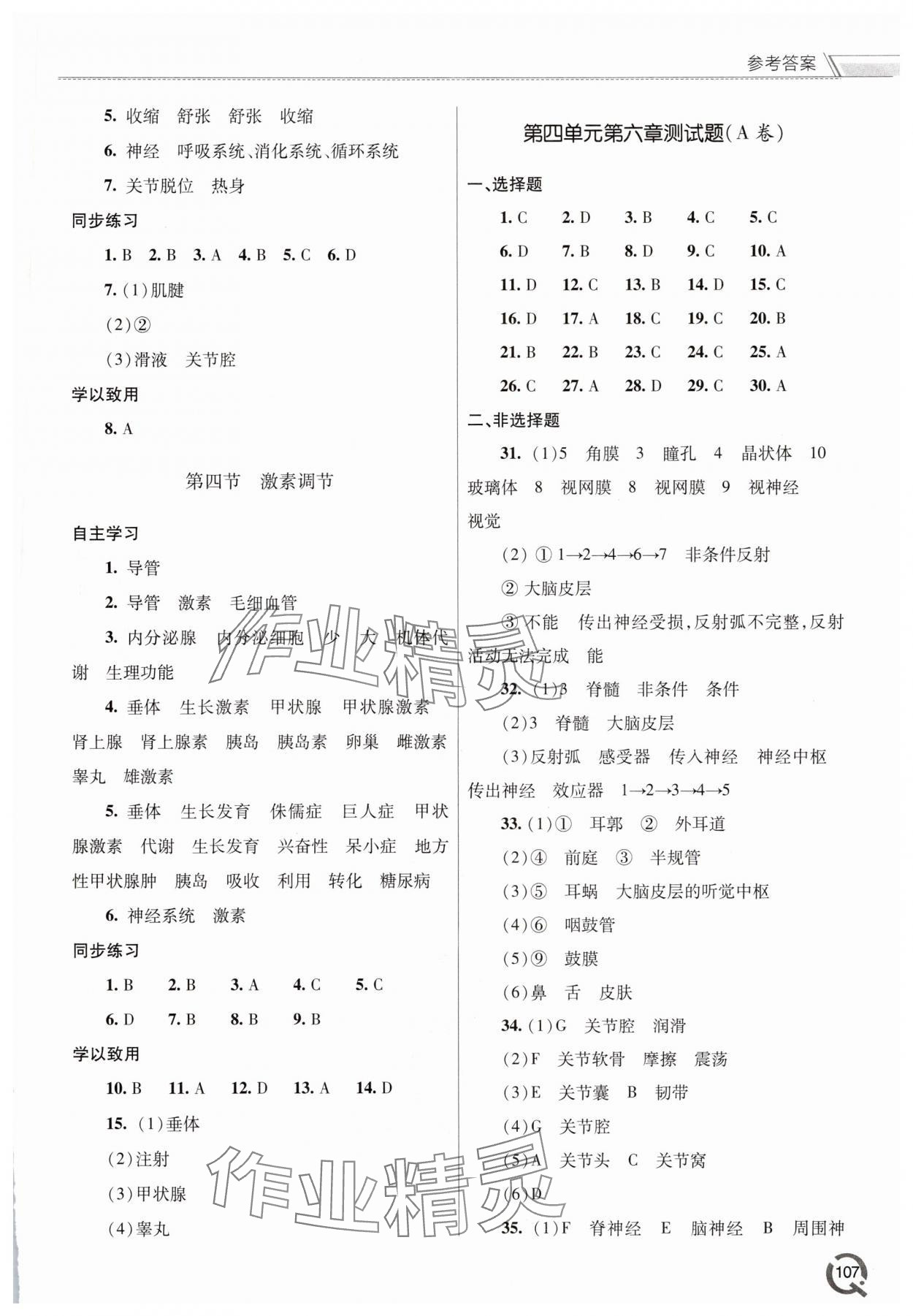 2025年同步練習冊青島出版社八年級生物上冊人教版 參考答案第3頁