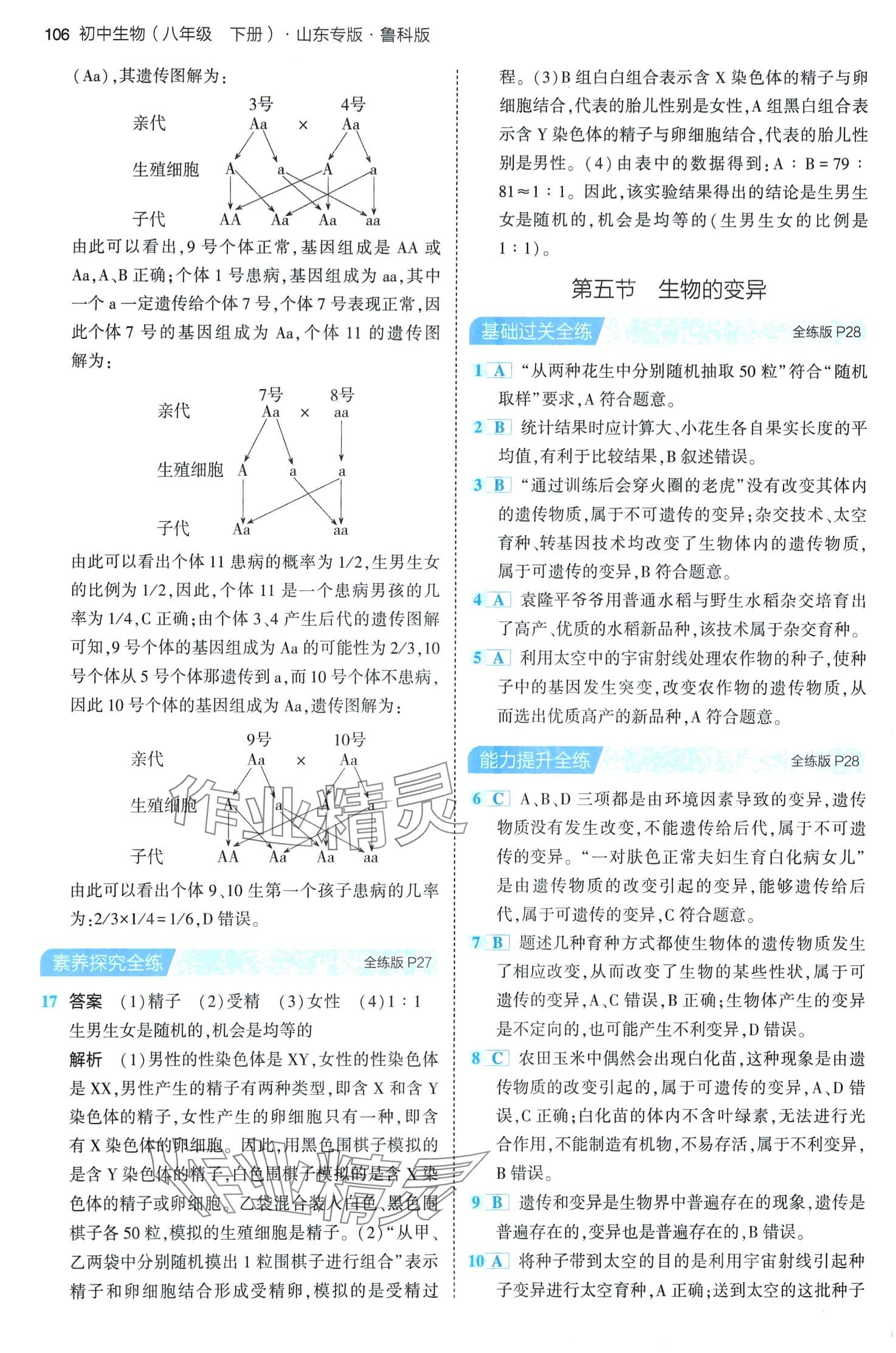 2024年5年中考3年模擬八年級生物下冊魯科版山東專版 第12頁