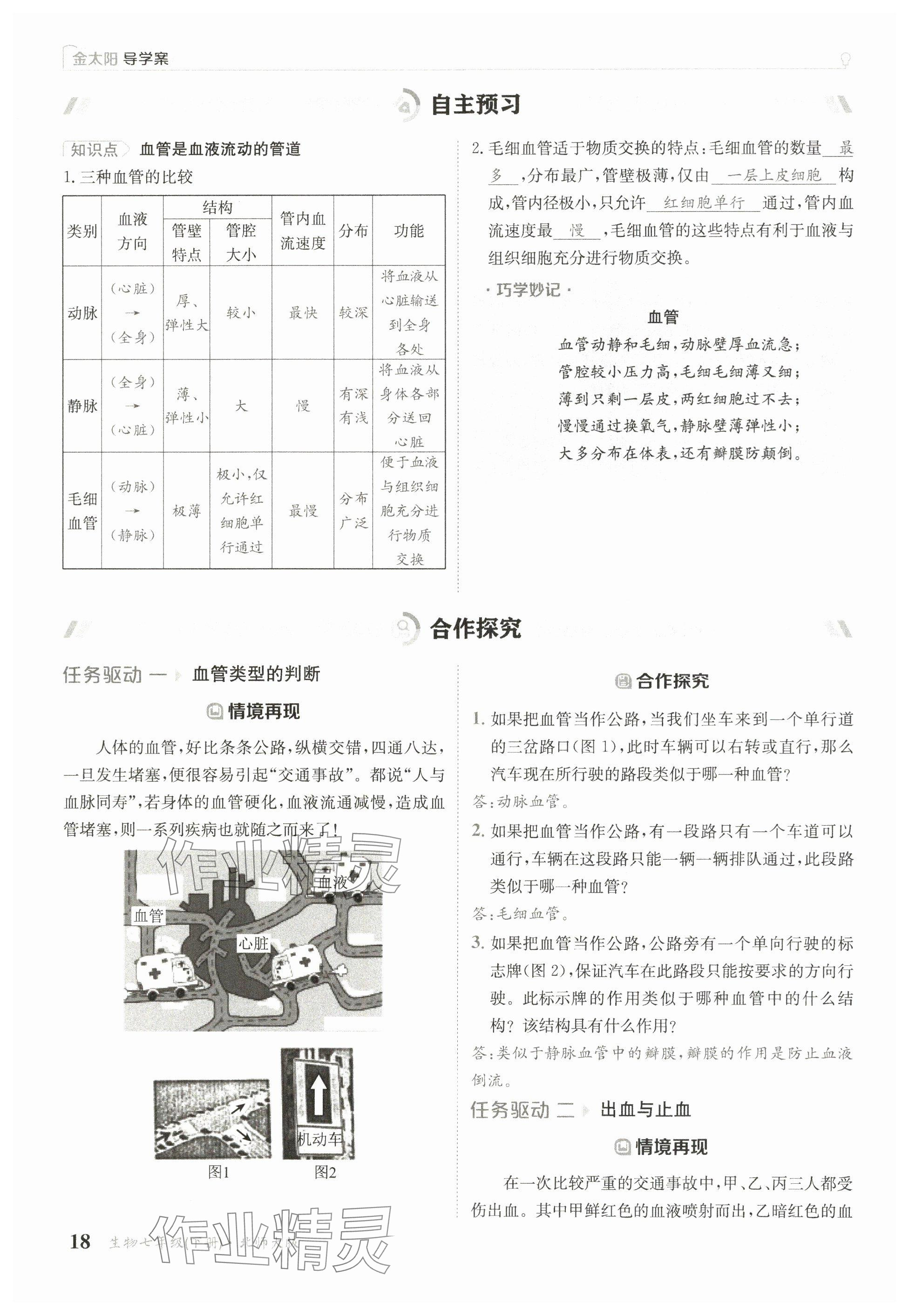 2025年金太陽導(dǎo)學(xué)案七年級(jí)生物下冊北師大版 參考答案第16頁