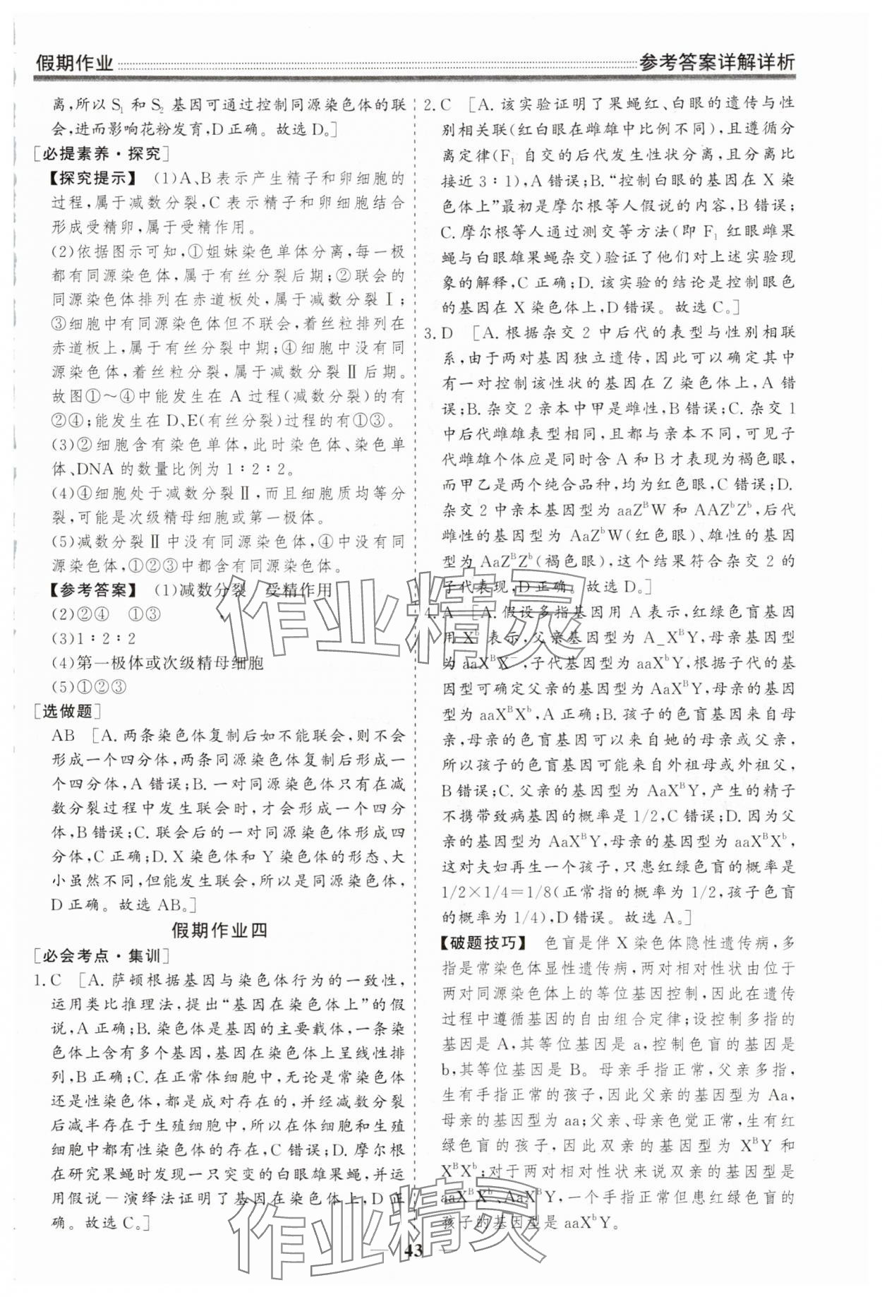 2025年衡水名师新作假期作业高一生物 第5页