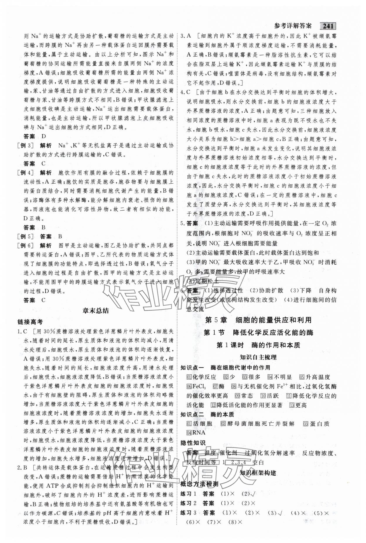 2024年金版教程高中新課程創(chuàng)新導(dǎo)學案高中生物必修1人教版 參考答案第9頁