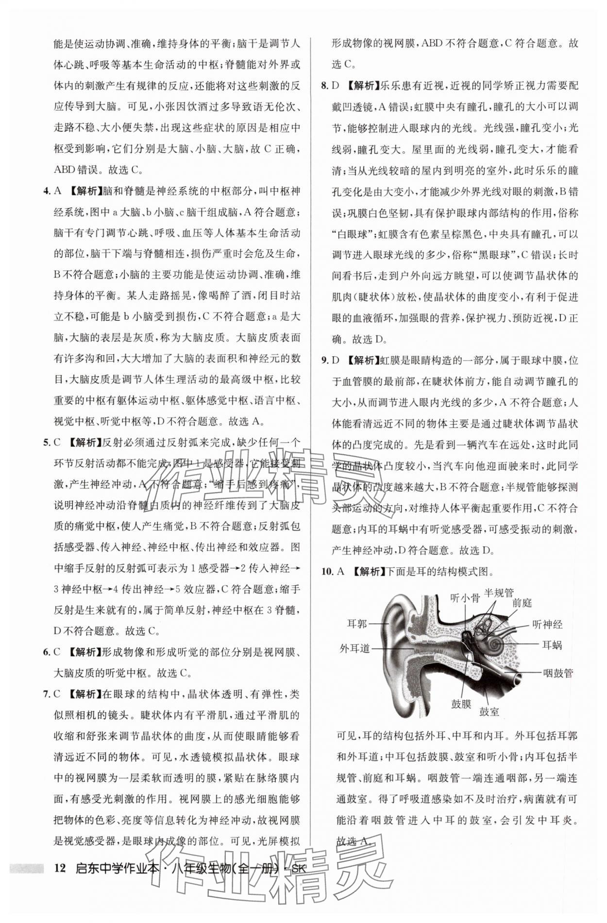 2024年啟東中學(xué)作業(yè)本八年級(jí)生物全一冊(cè)蘇科版 參考答案第12頁(yè)